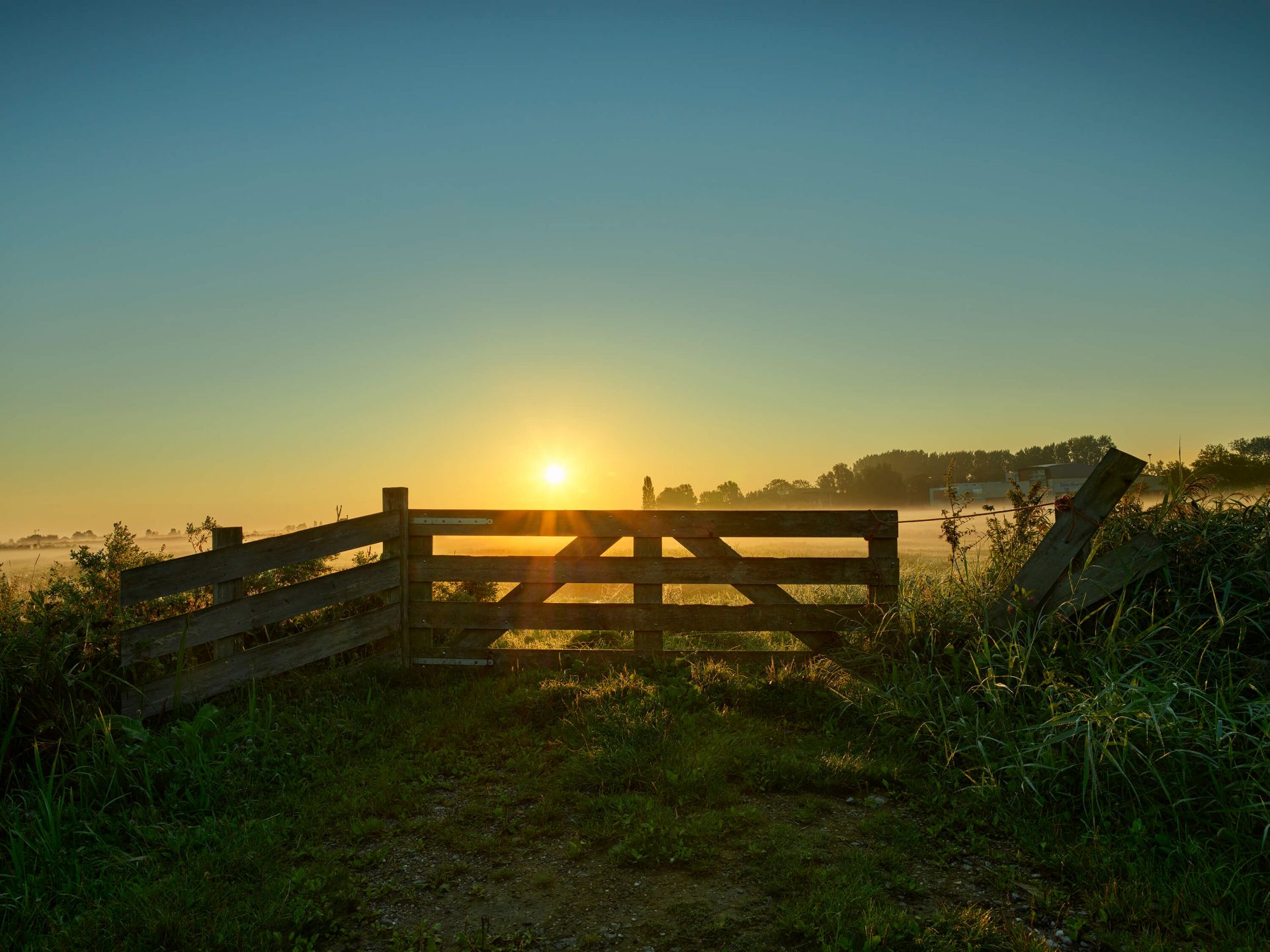 Staket vid soluppgång