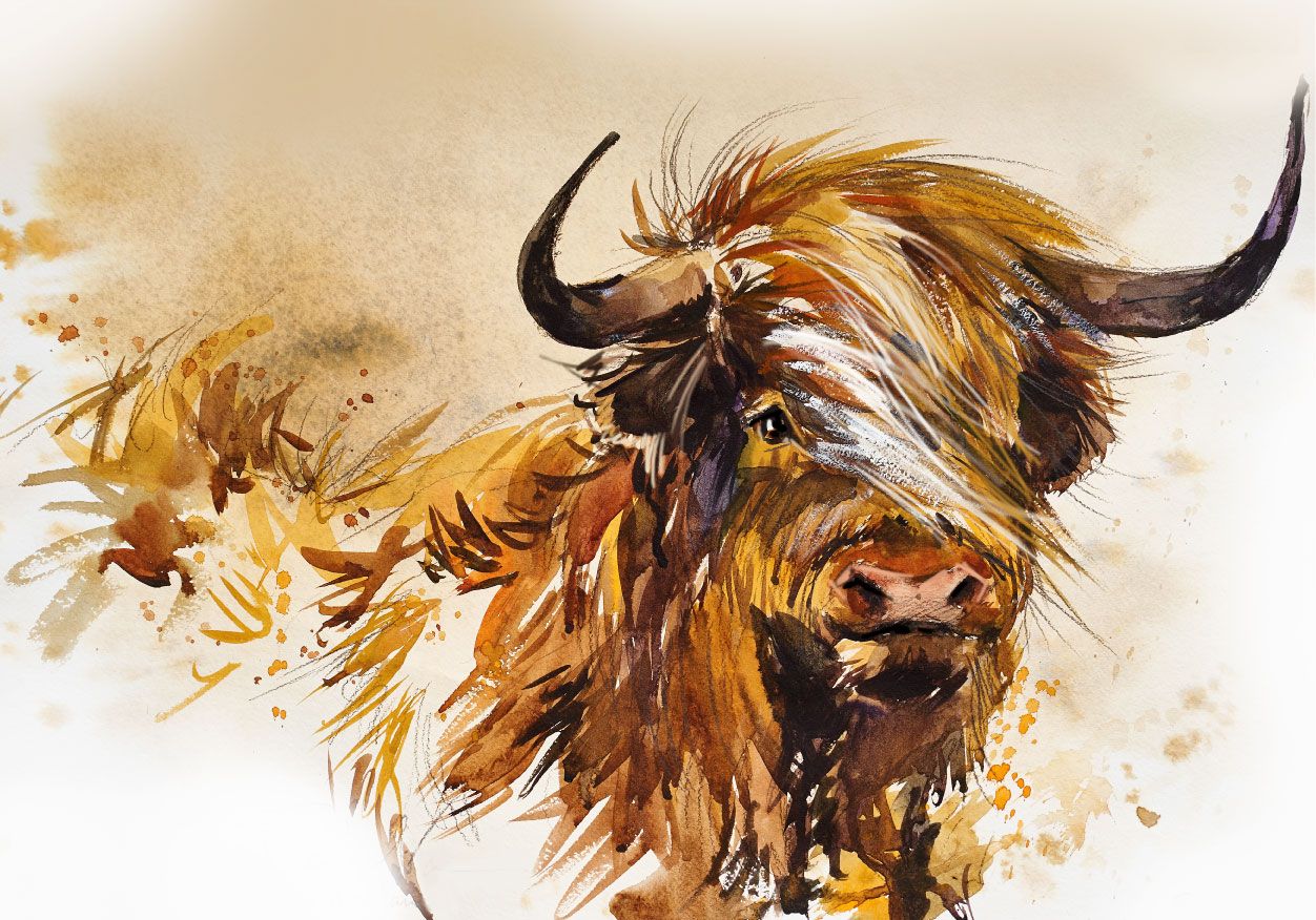 Malet Highlander