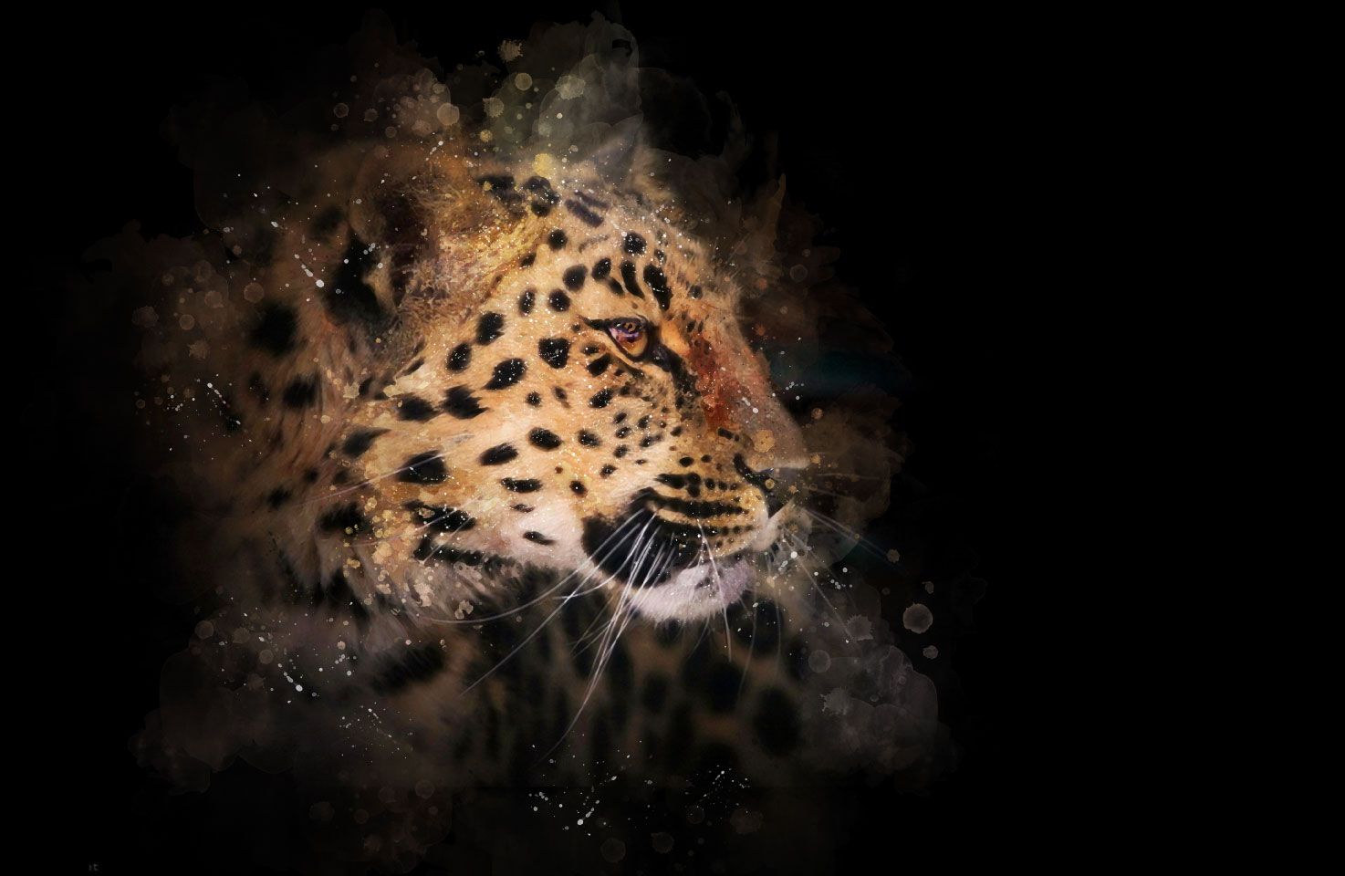 Malet leopard