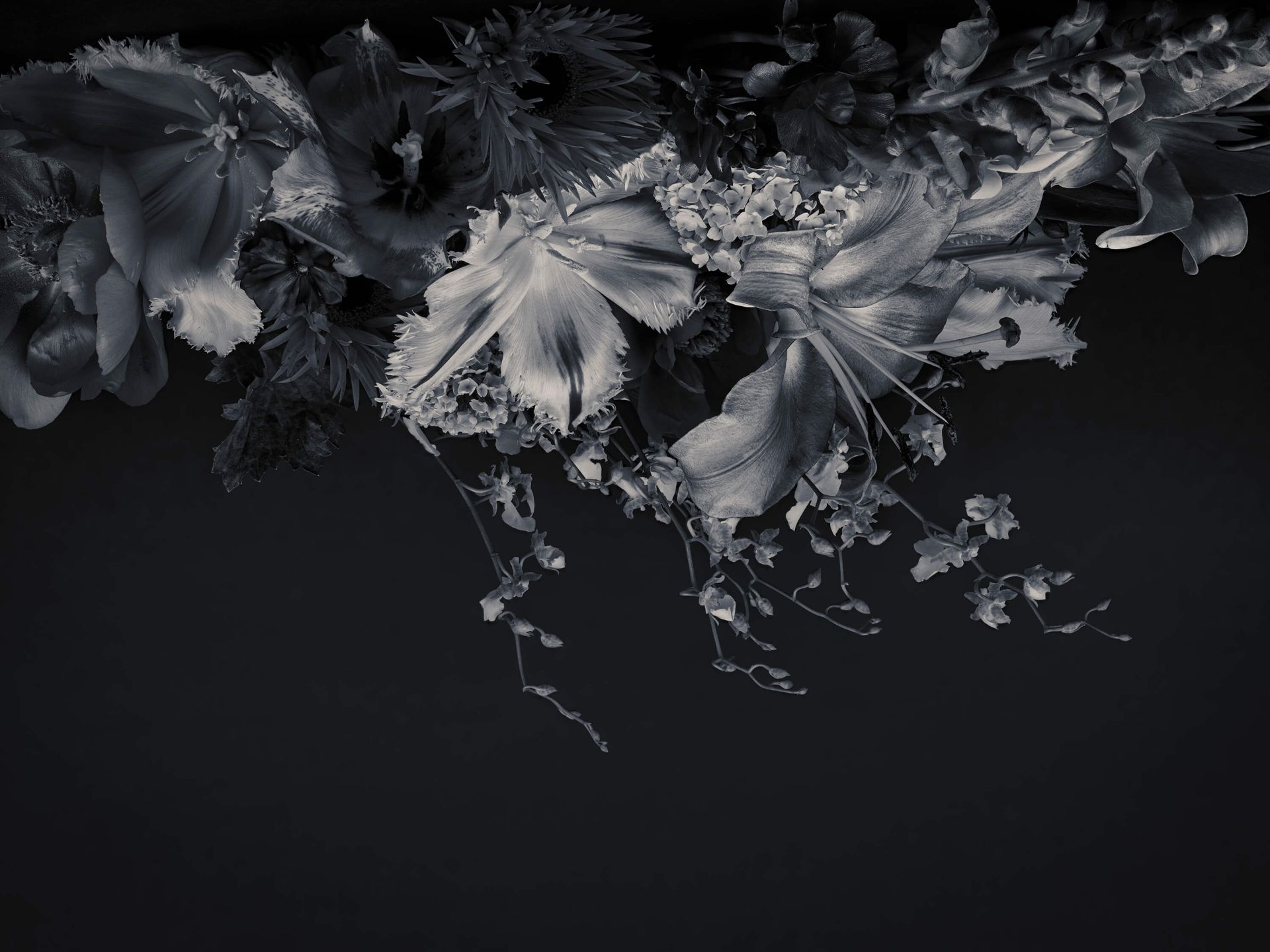 Komposittblomster i svart-hvitt