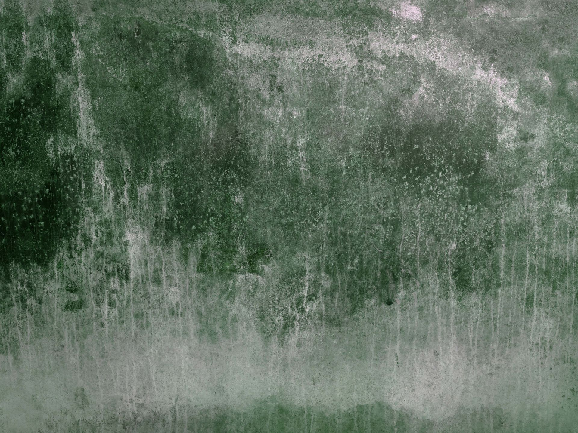 Gammel forvitret grøn væg