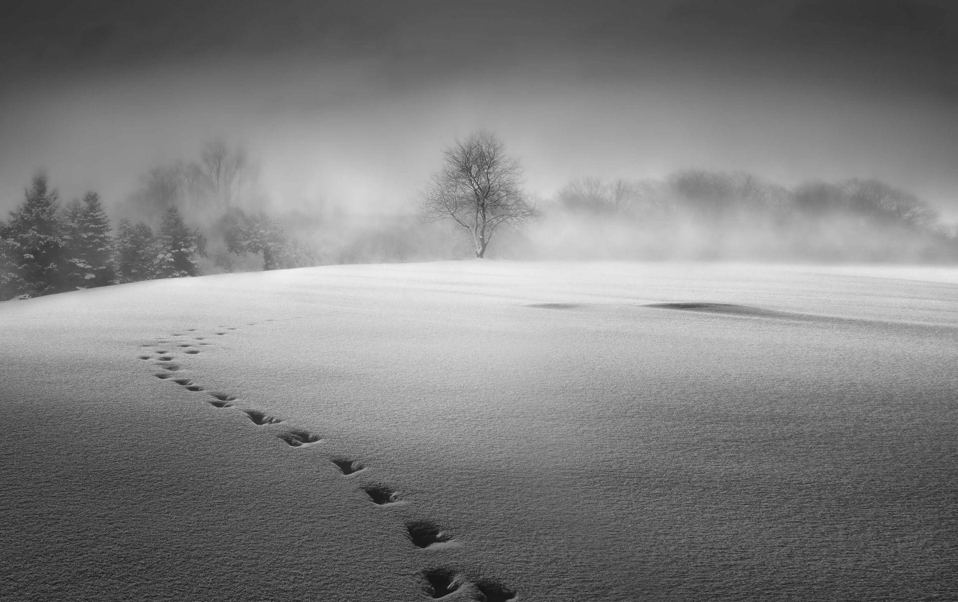 Winter scenery