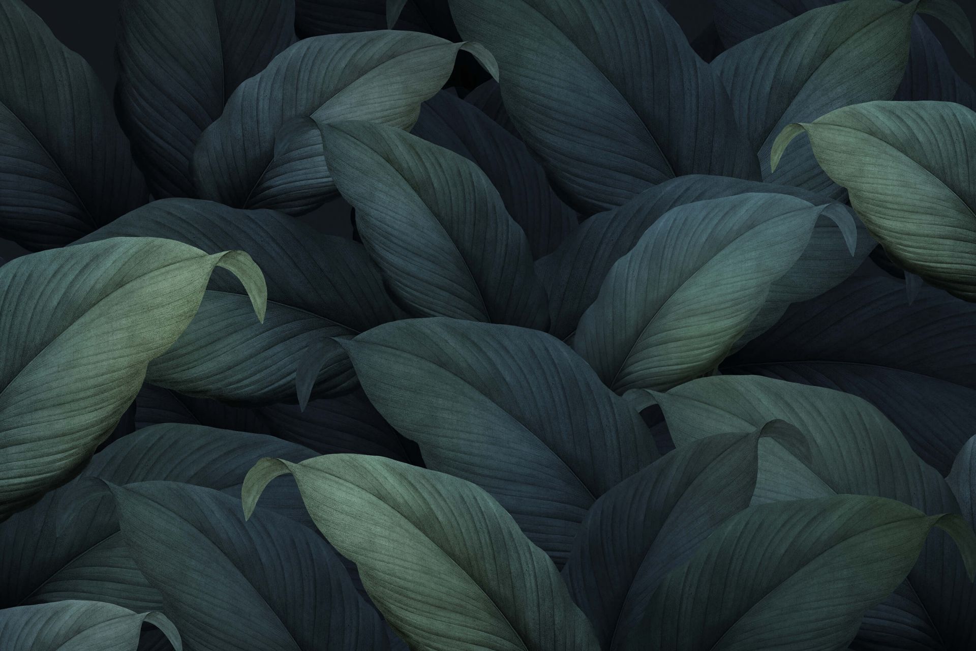 Tropiska gröna blad