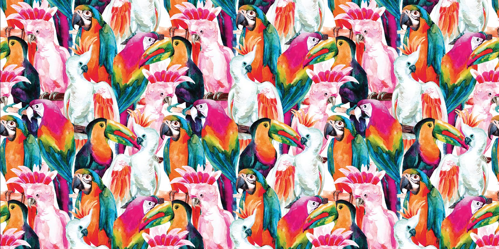 Tropiske, fargede fugler