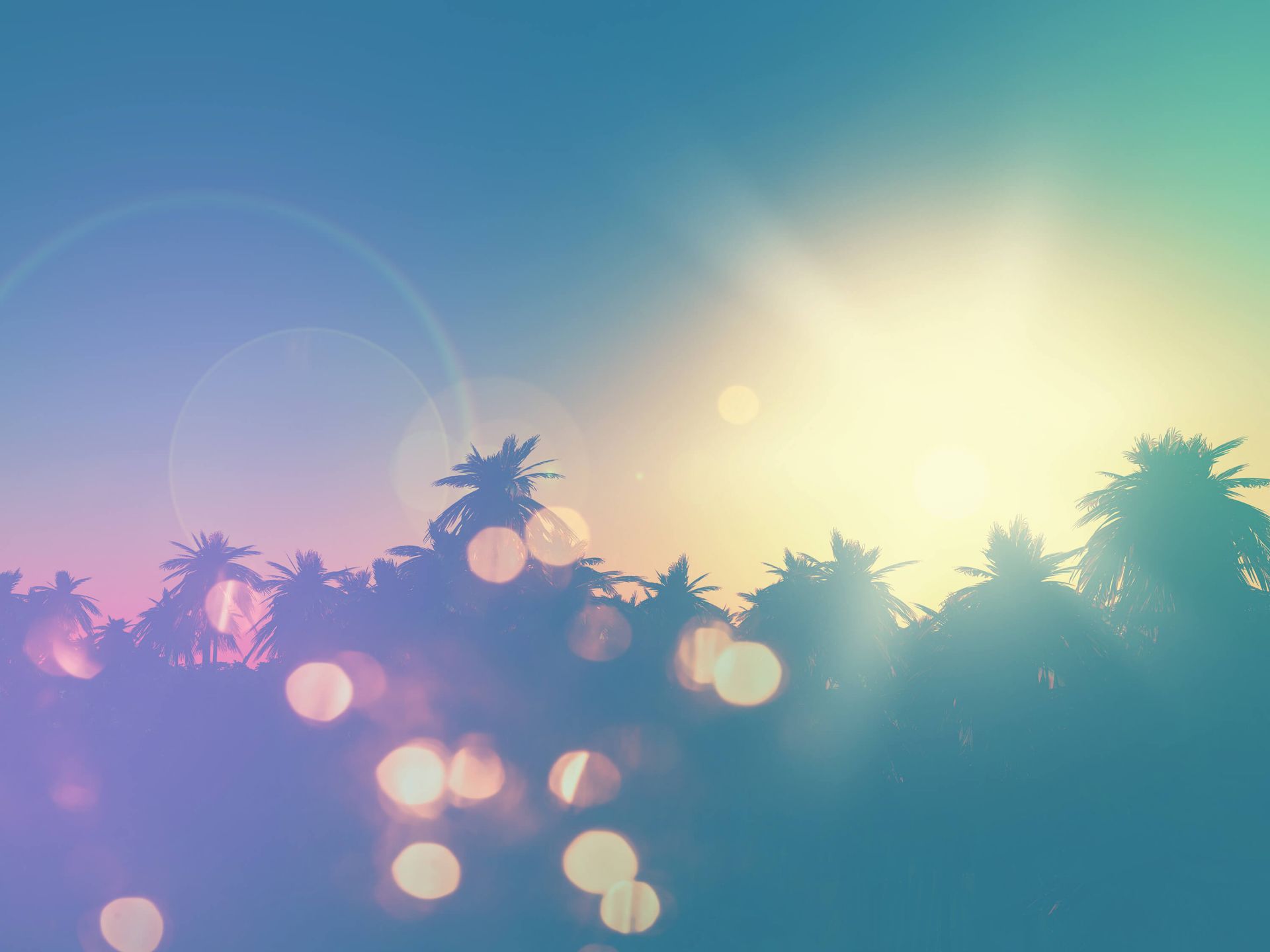 Palmer med retroeffekt