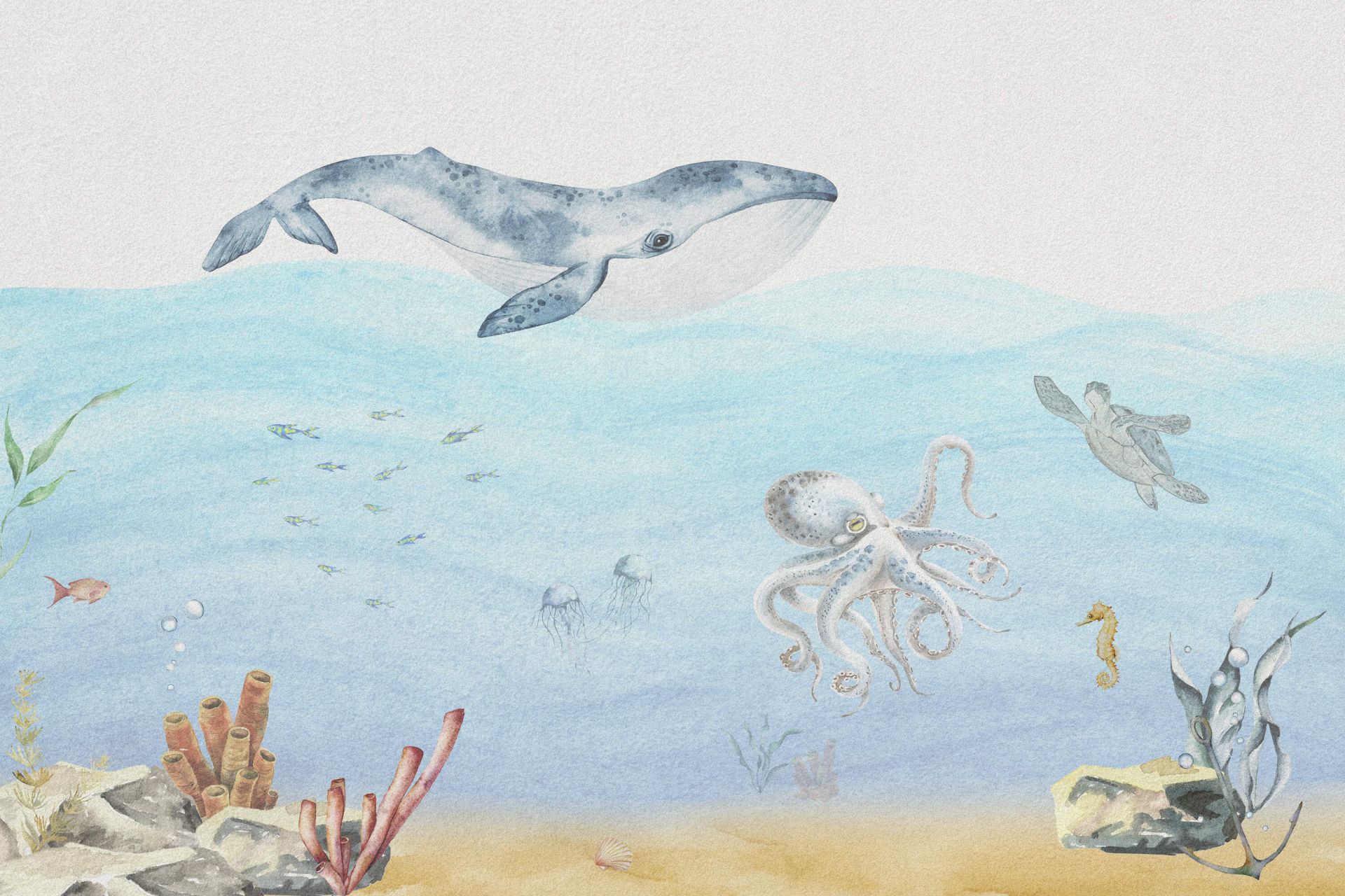 Undervandsverden med en hval