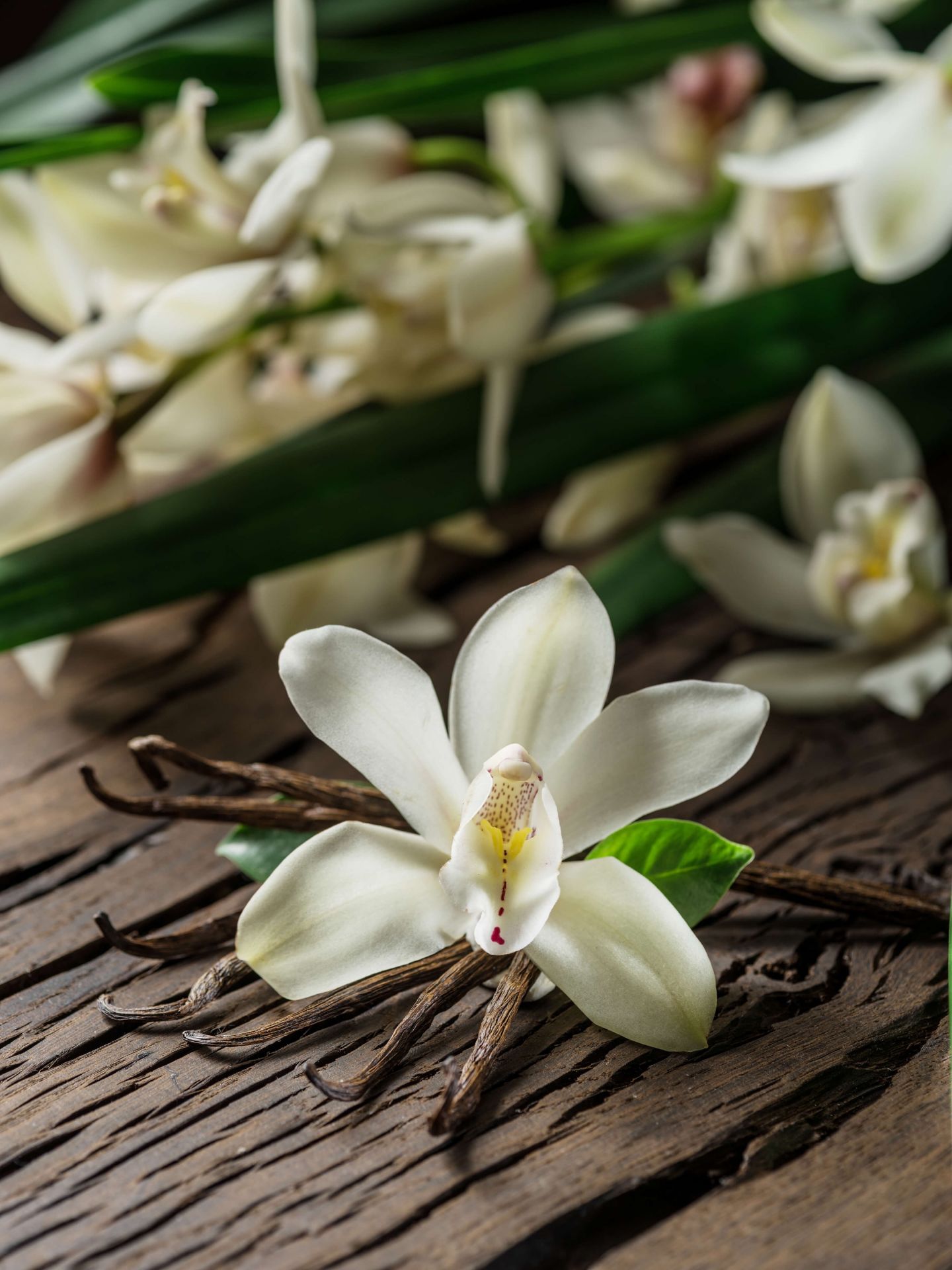 Blomst og vaniljestenger