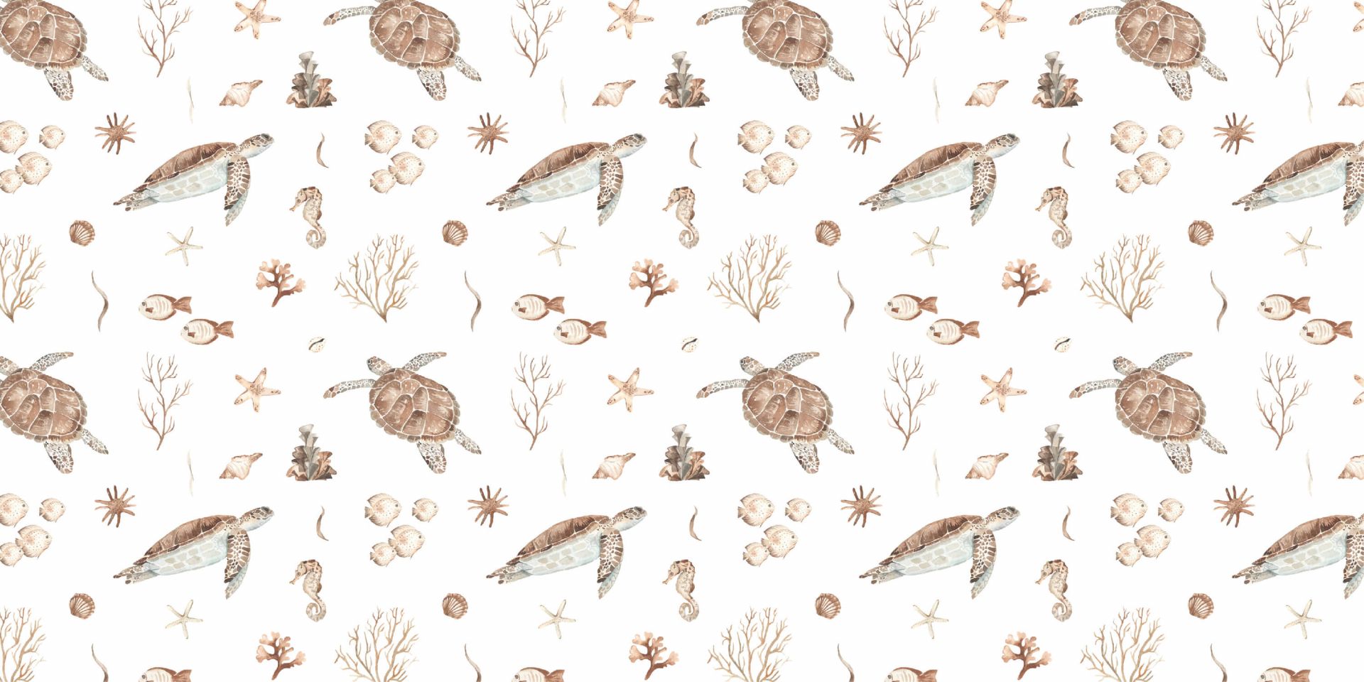 Snäckor och havsdjur