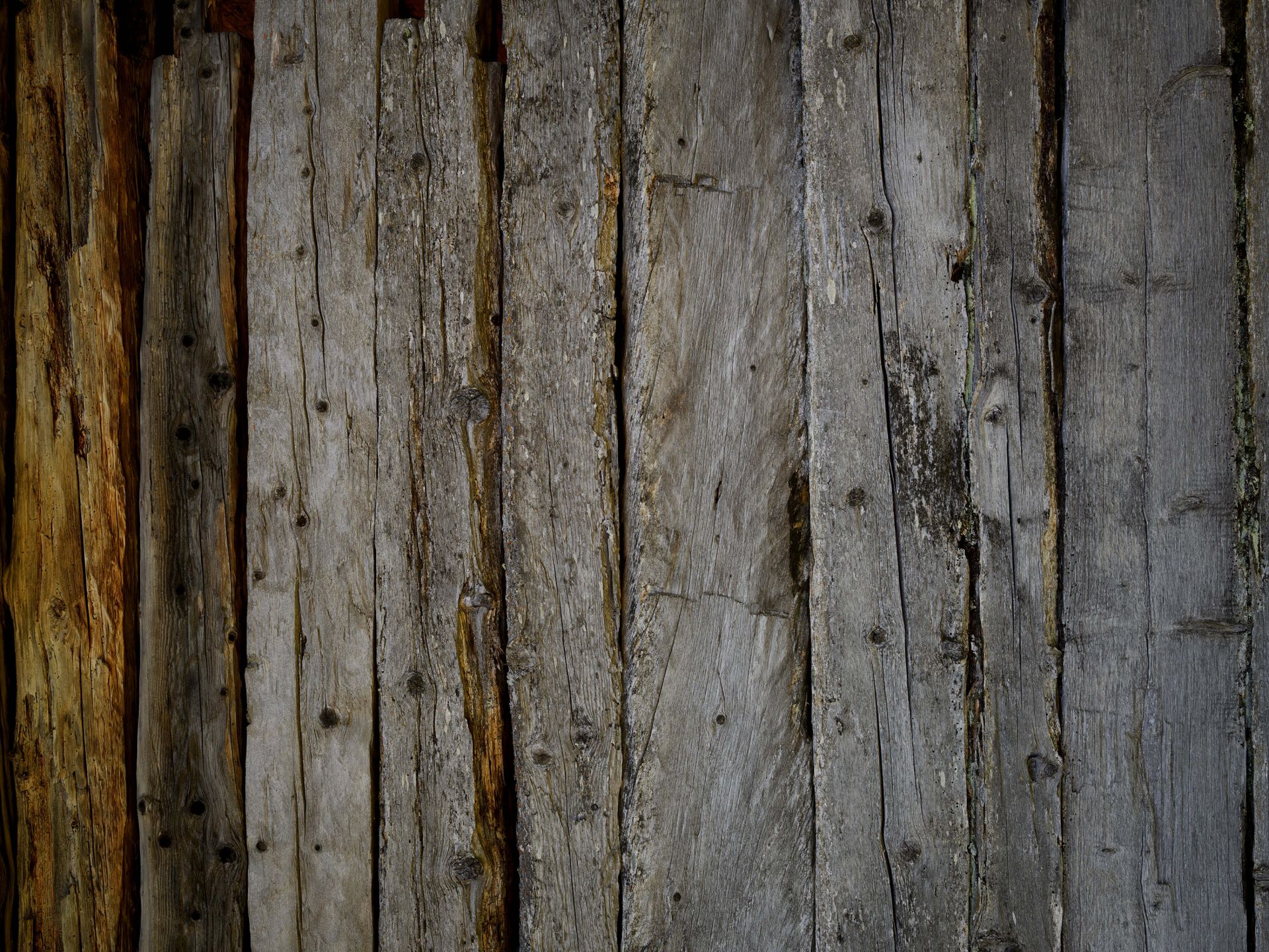 Gamle vejrbidte bjælker