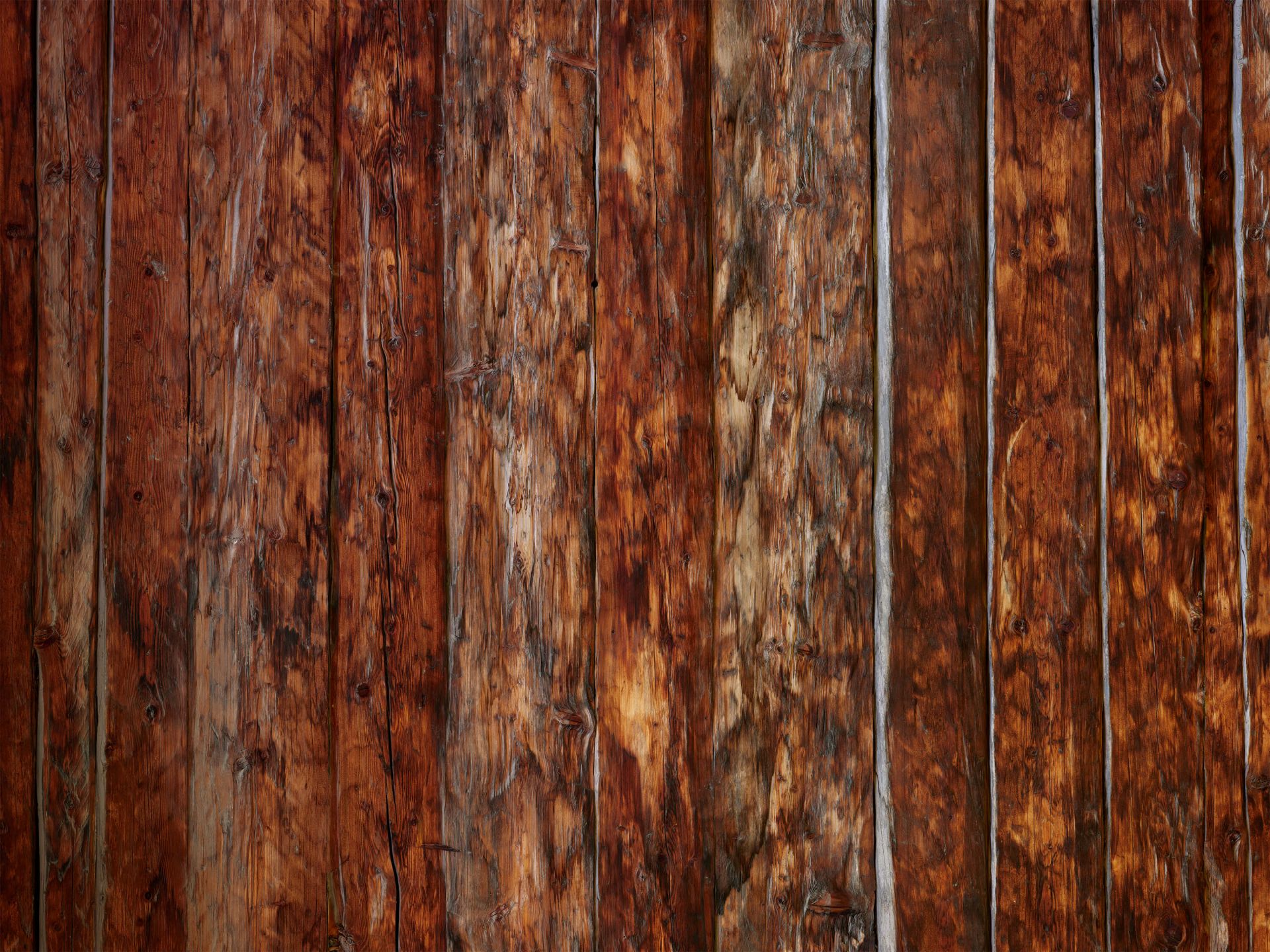 Robust brent treverk