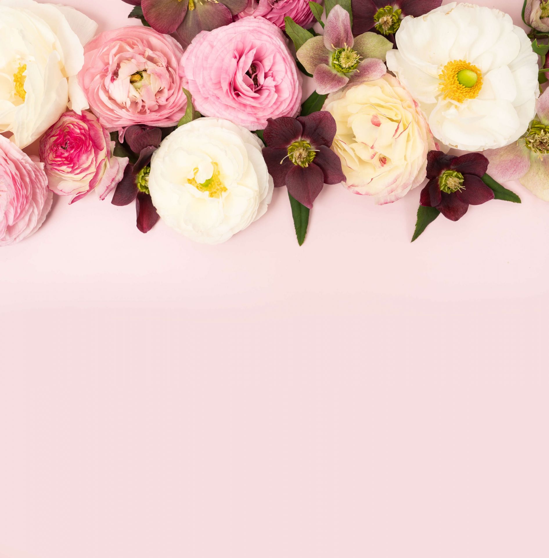 Forskellige farvede blomster
