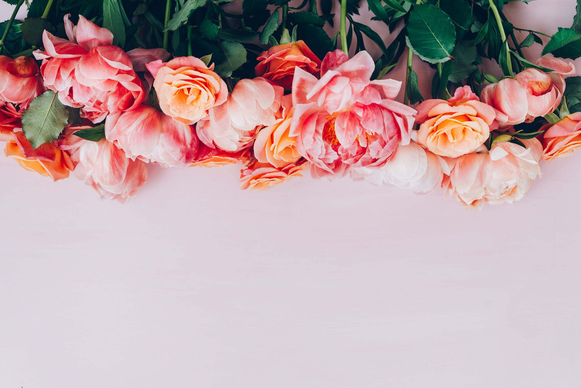 Rosor i olika nyanser av rosa