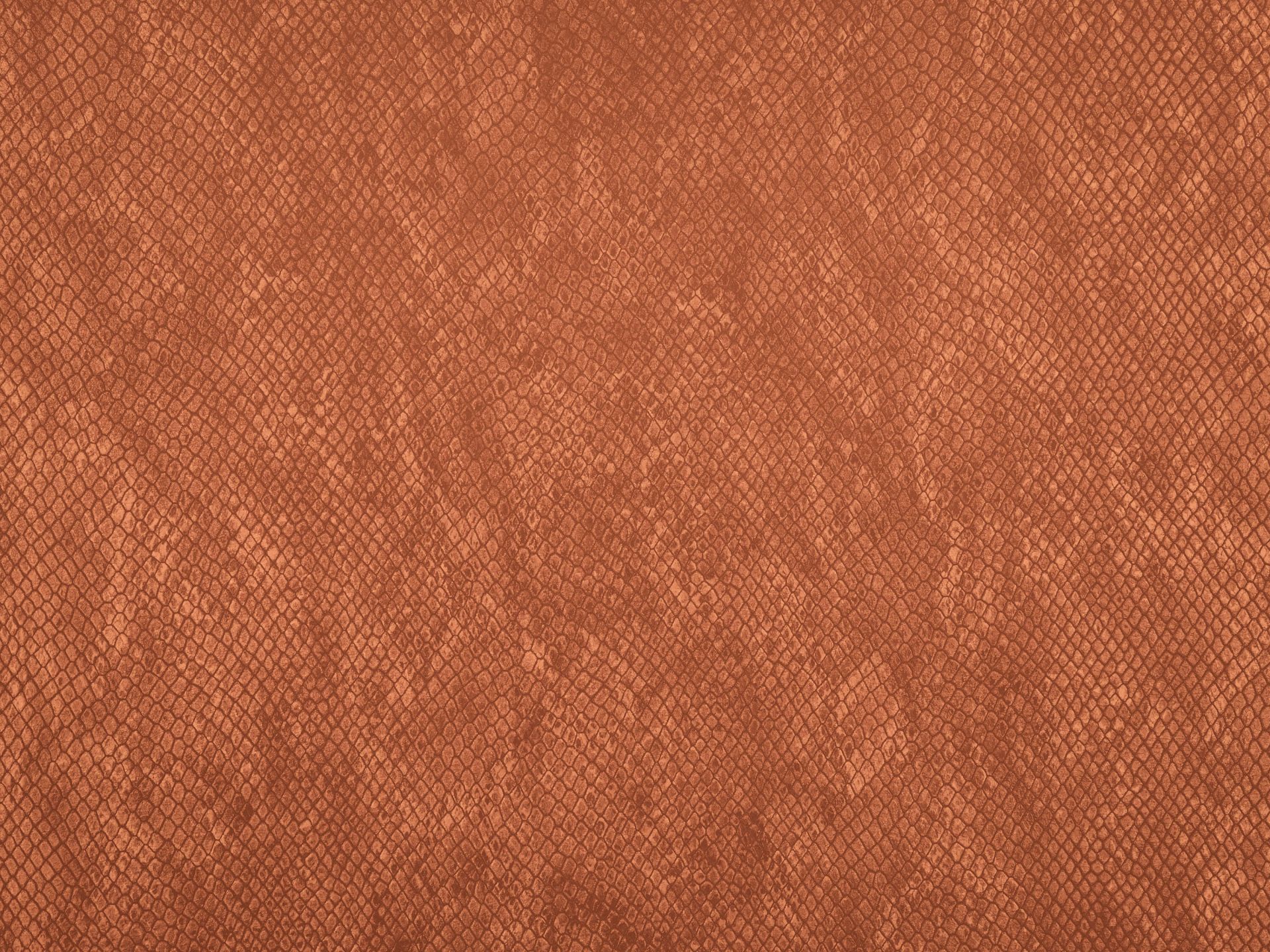 Slangestruktur i terrakotta