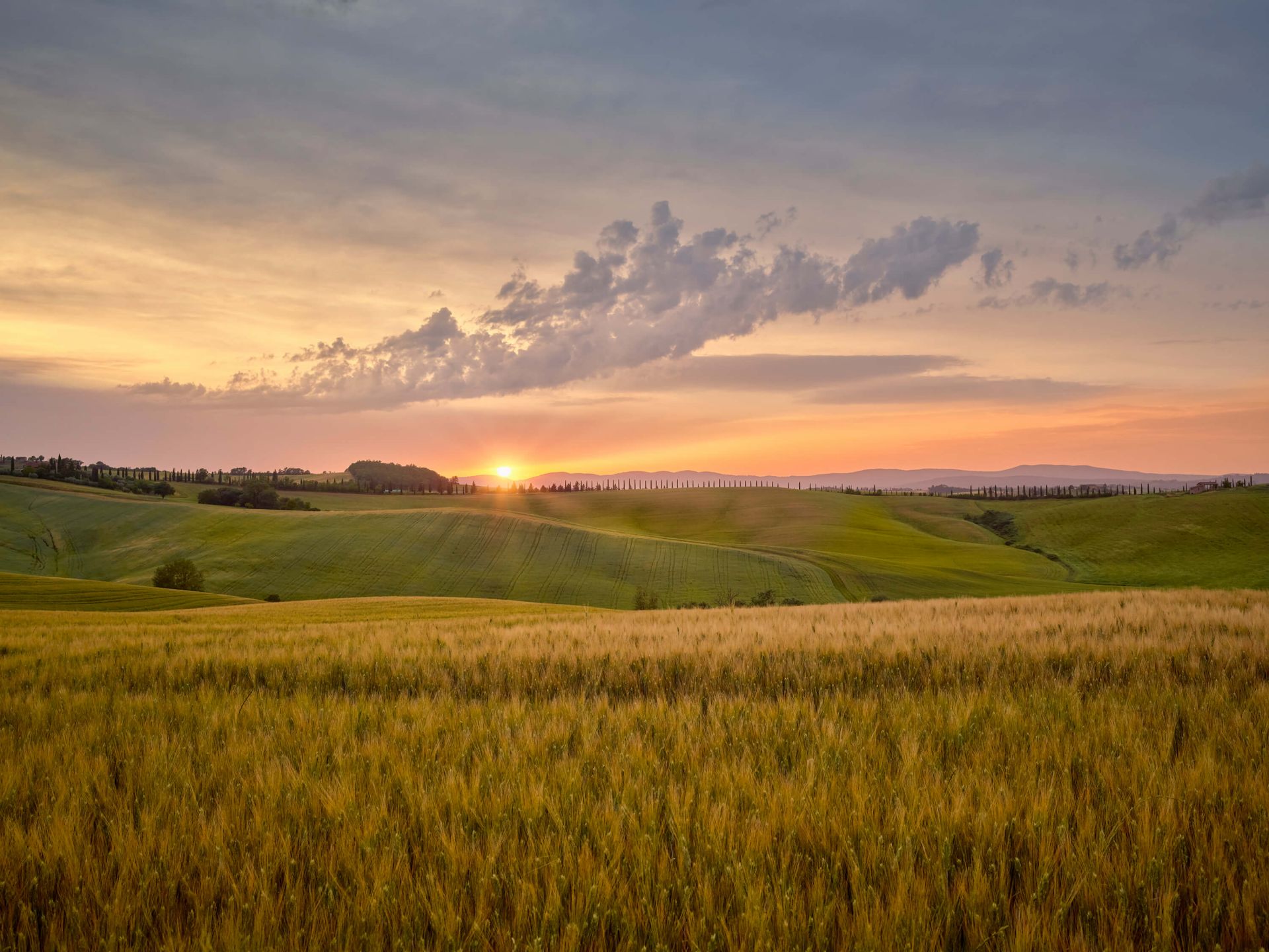 Solnedgång i italienskt landskap