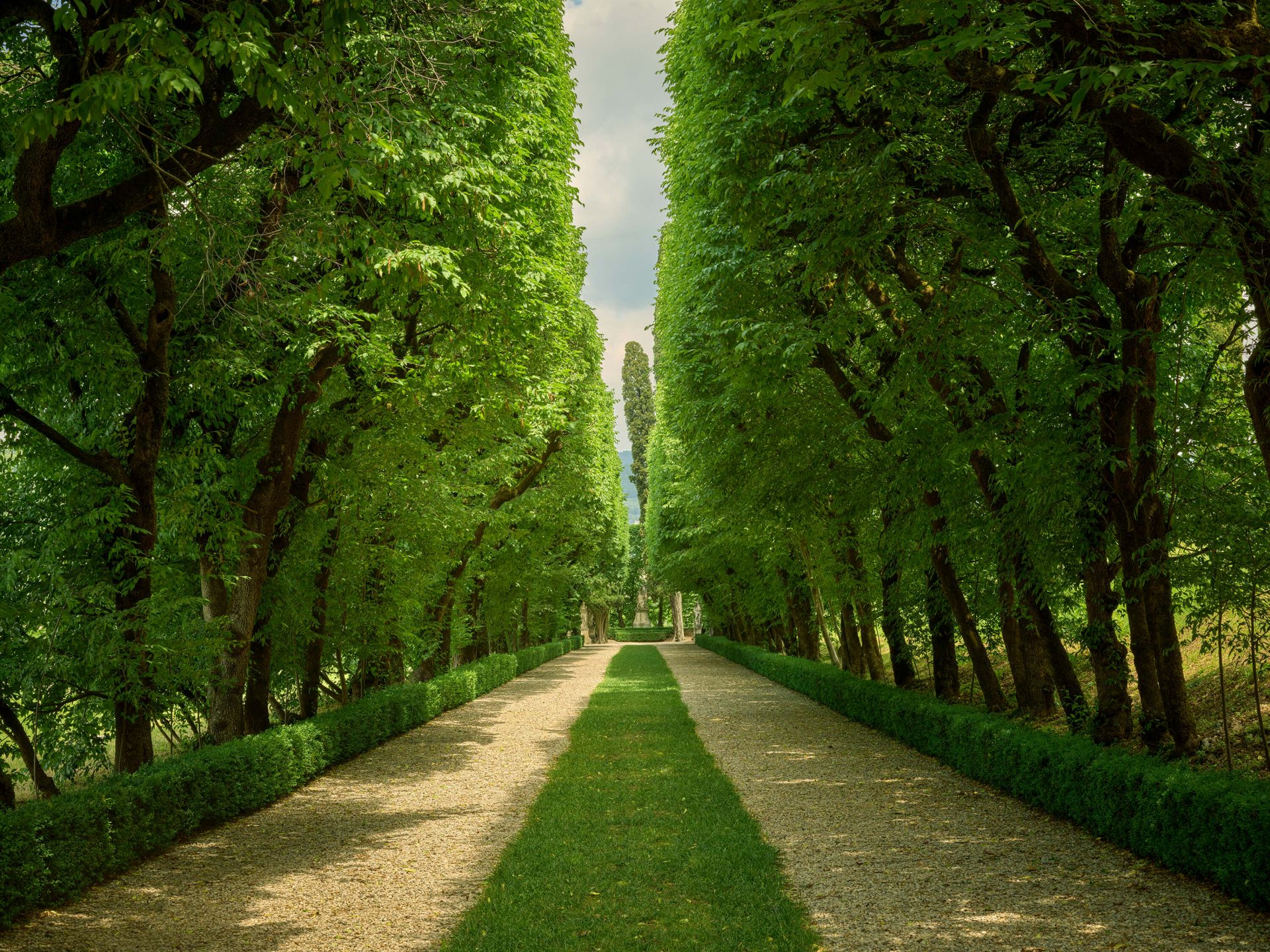 Grön körbana med grus