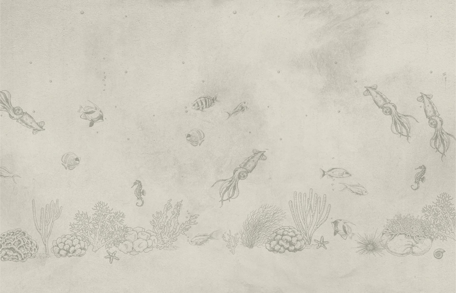 Bläckfiskar havsgrön