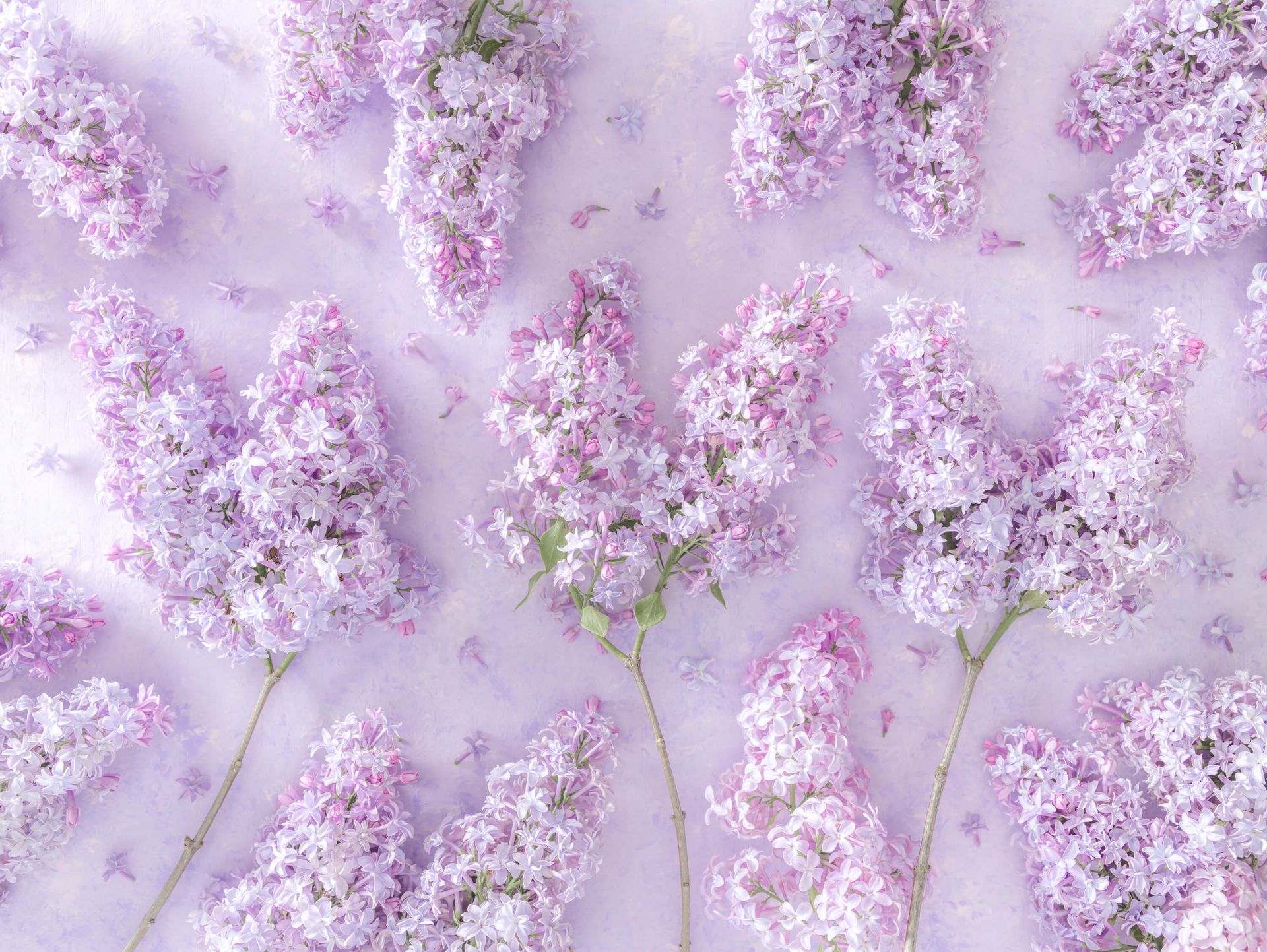 Lätt blommig blandning
