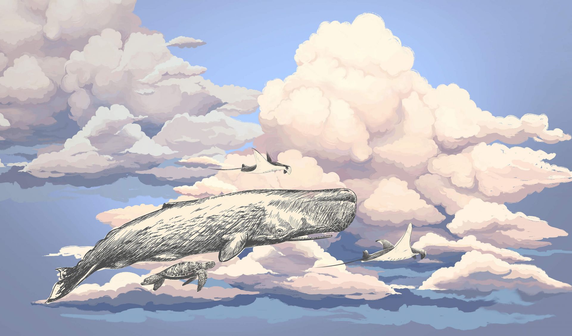 Hval med vennene hans