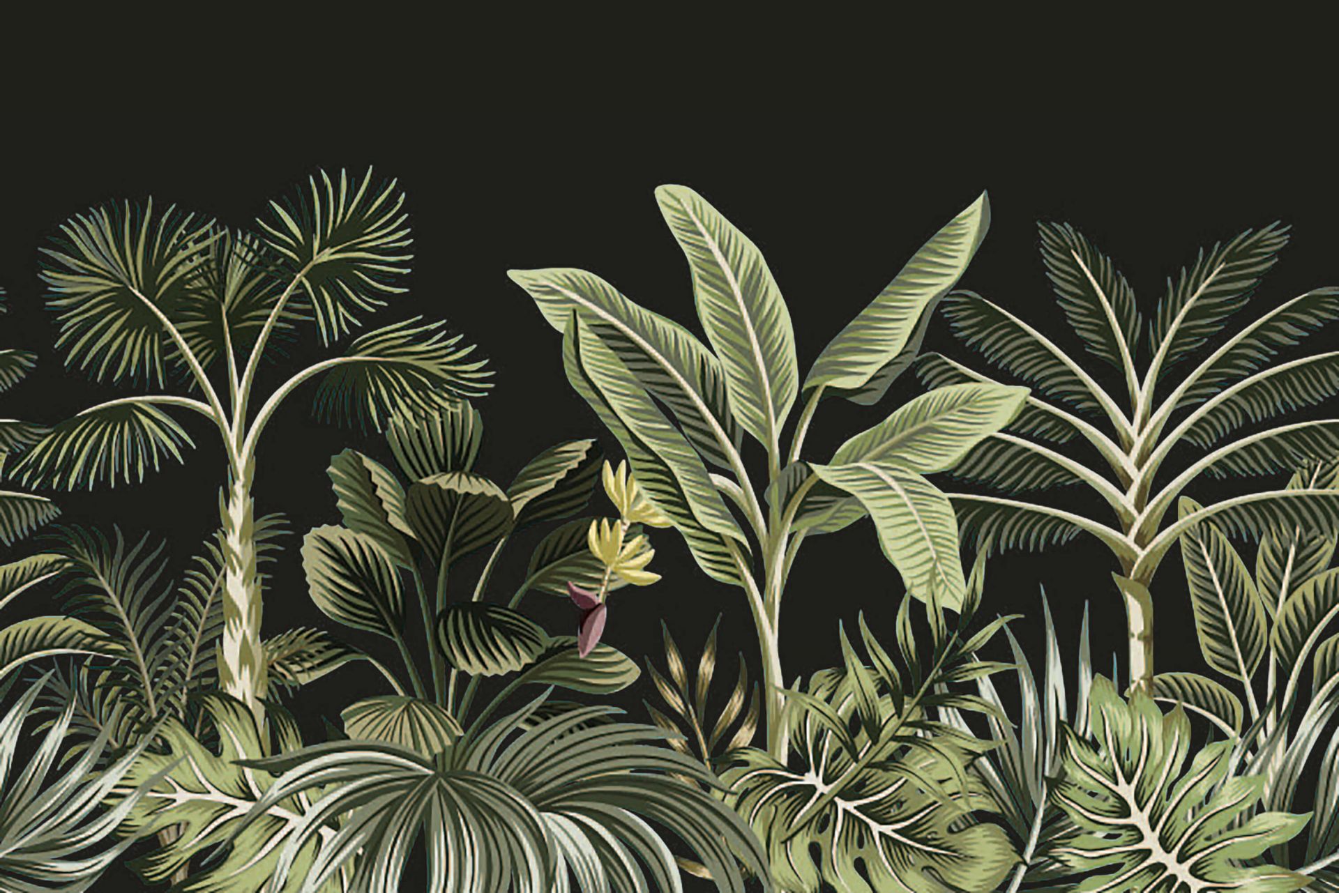 Tropisk palm på mörk bakgrund