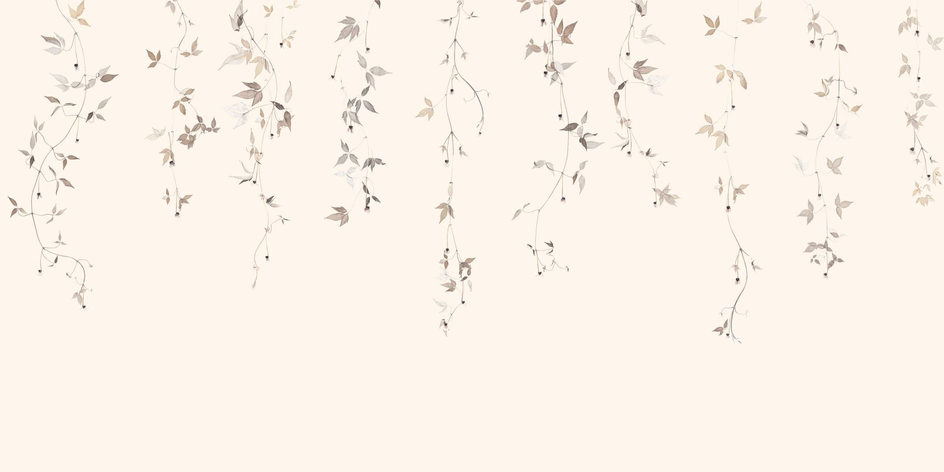 Lys klematisranke med blomster