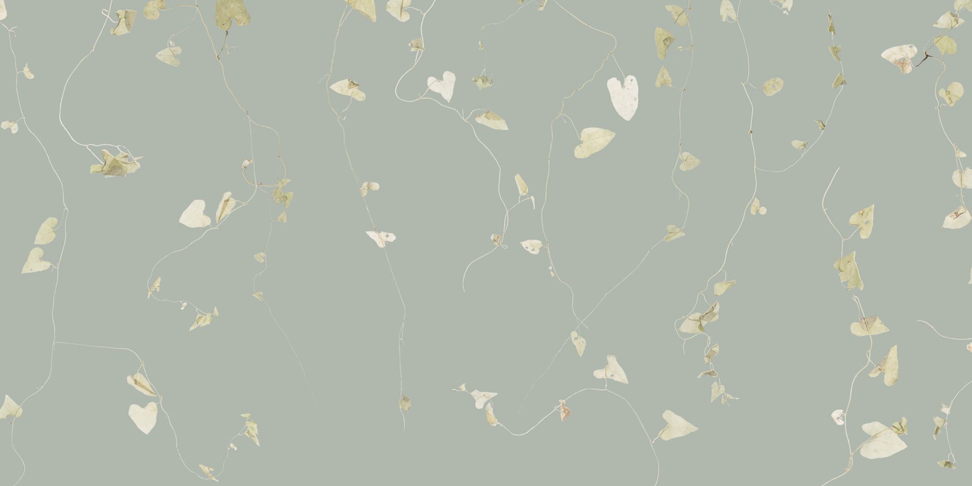 Hagtornsgrenar grå gröna