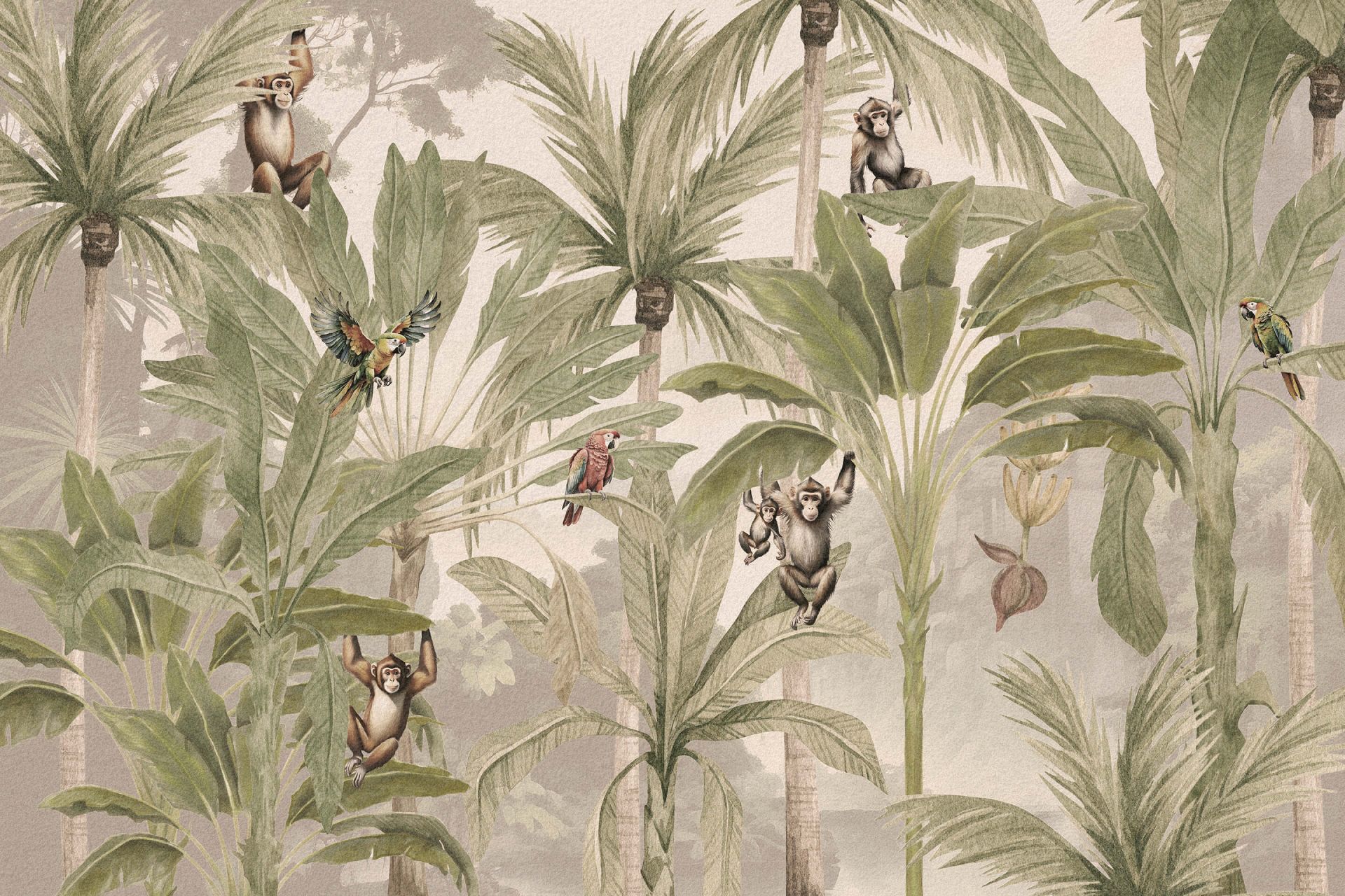 Jungle med aber og papegøjer