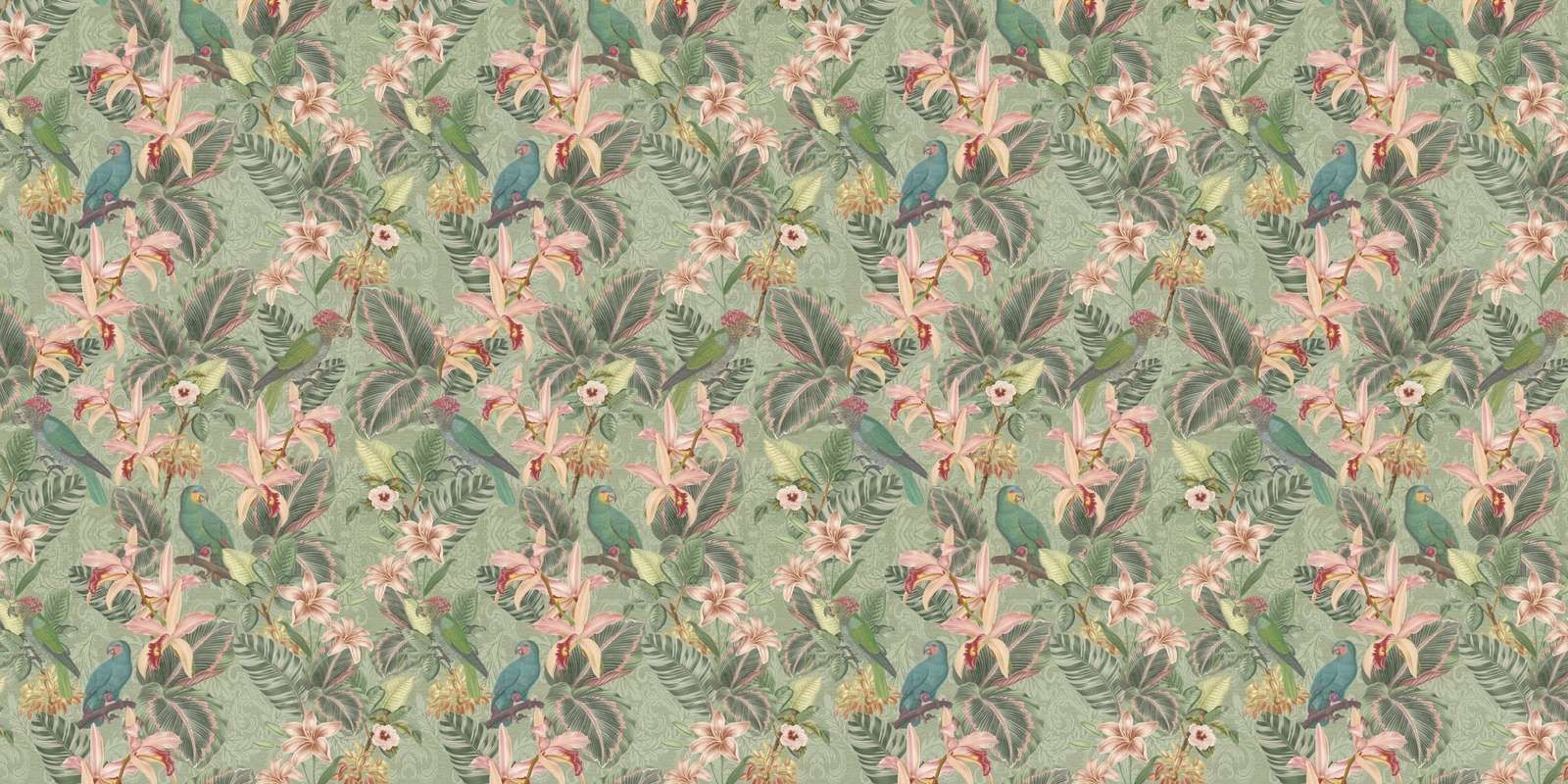 Tropiske junglefugle og papegøjer - salviegrøn
