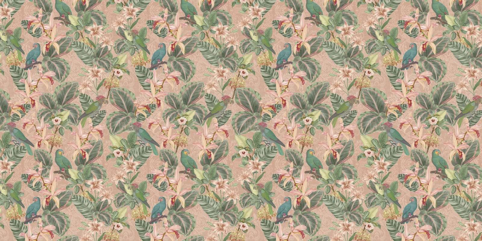 Tropiske junglefugle og papegøjer - terrakotta