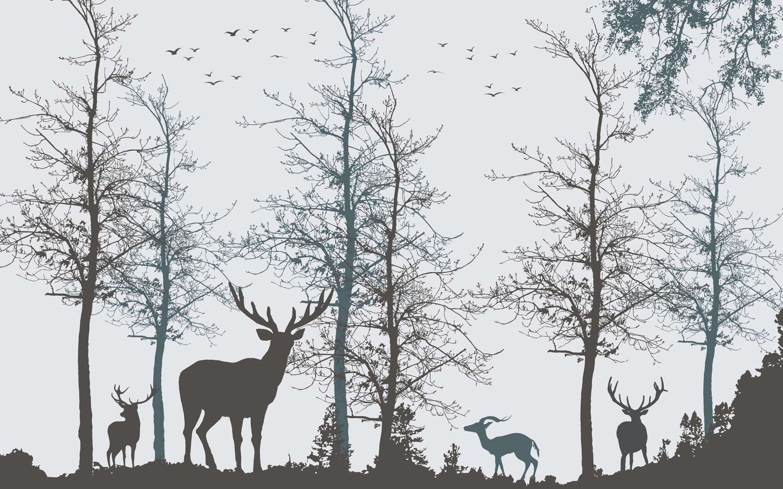 Vinterkontur Skogstillhet