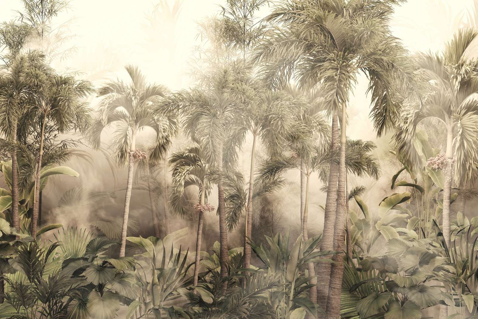 Tropisk Tåge Skønhed