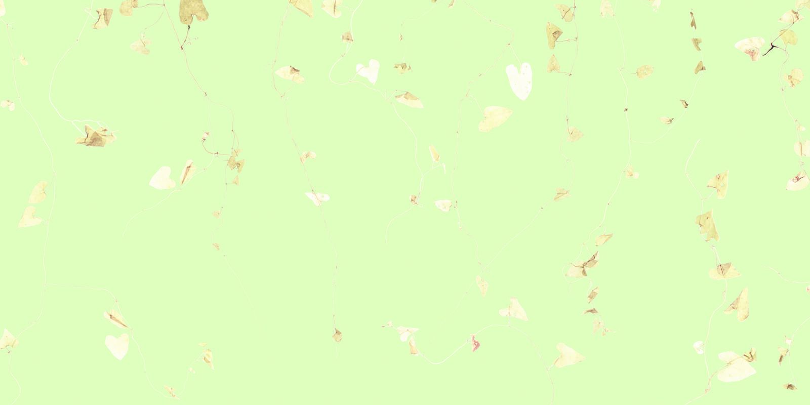 Limegrener - frisk grønn