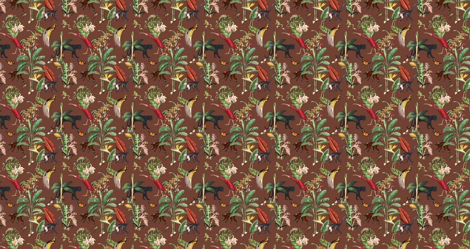 Kongedømmet Animalia Mørk Terra