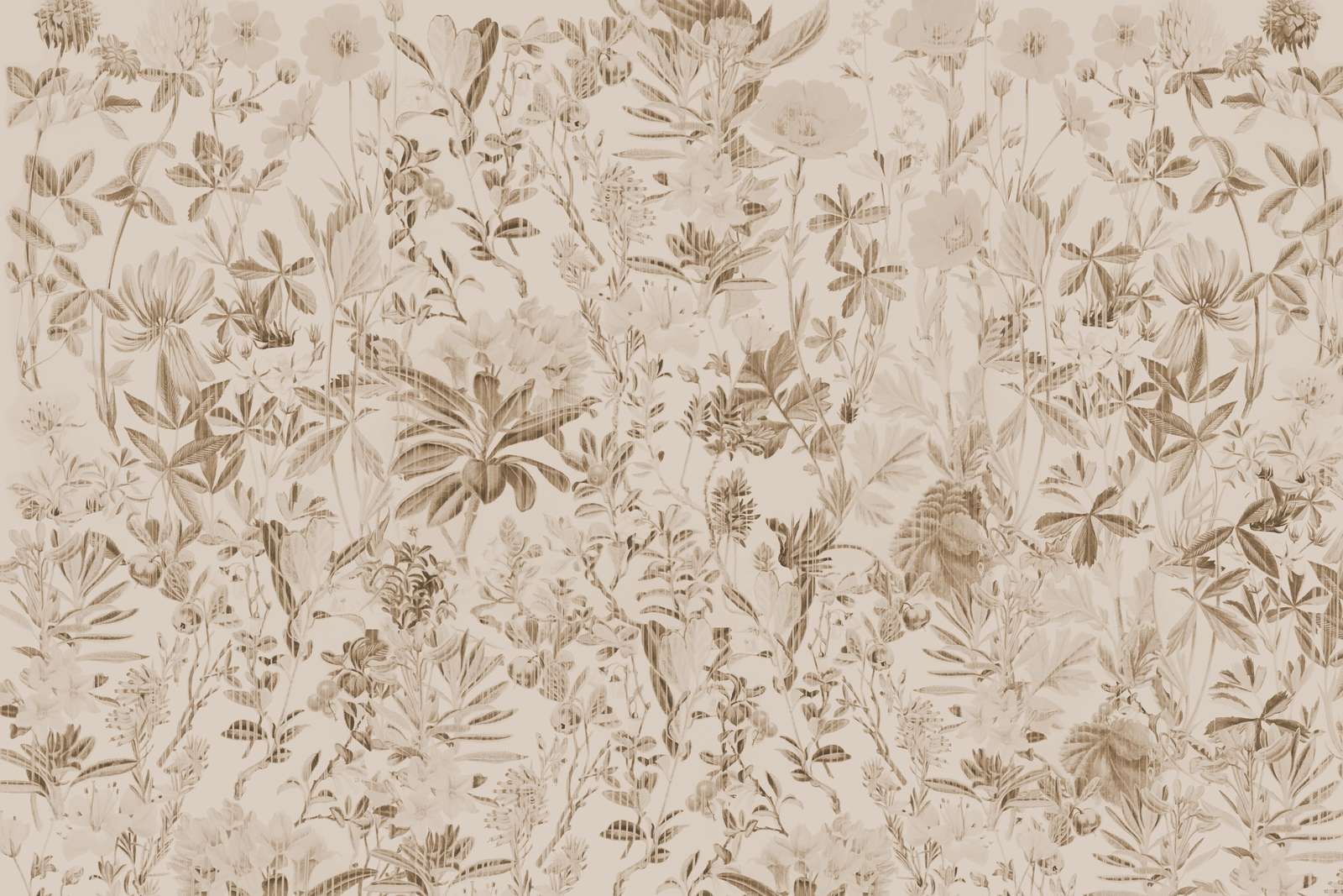 Trädgård Gerbarium Sepia Ljus