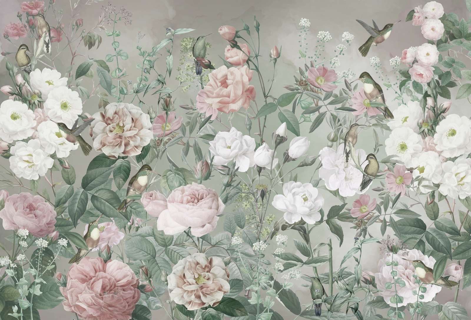 Fåglar i Rosenträdgården