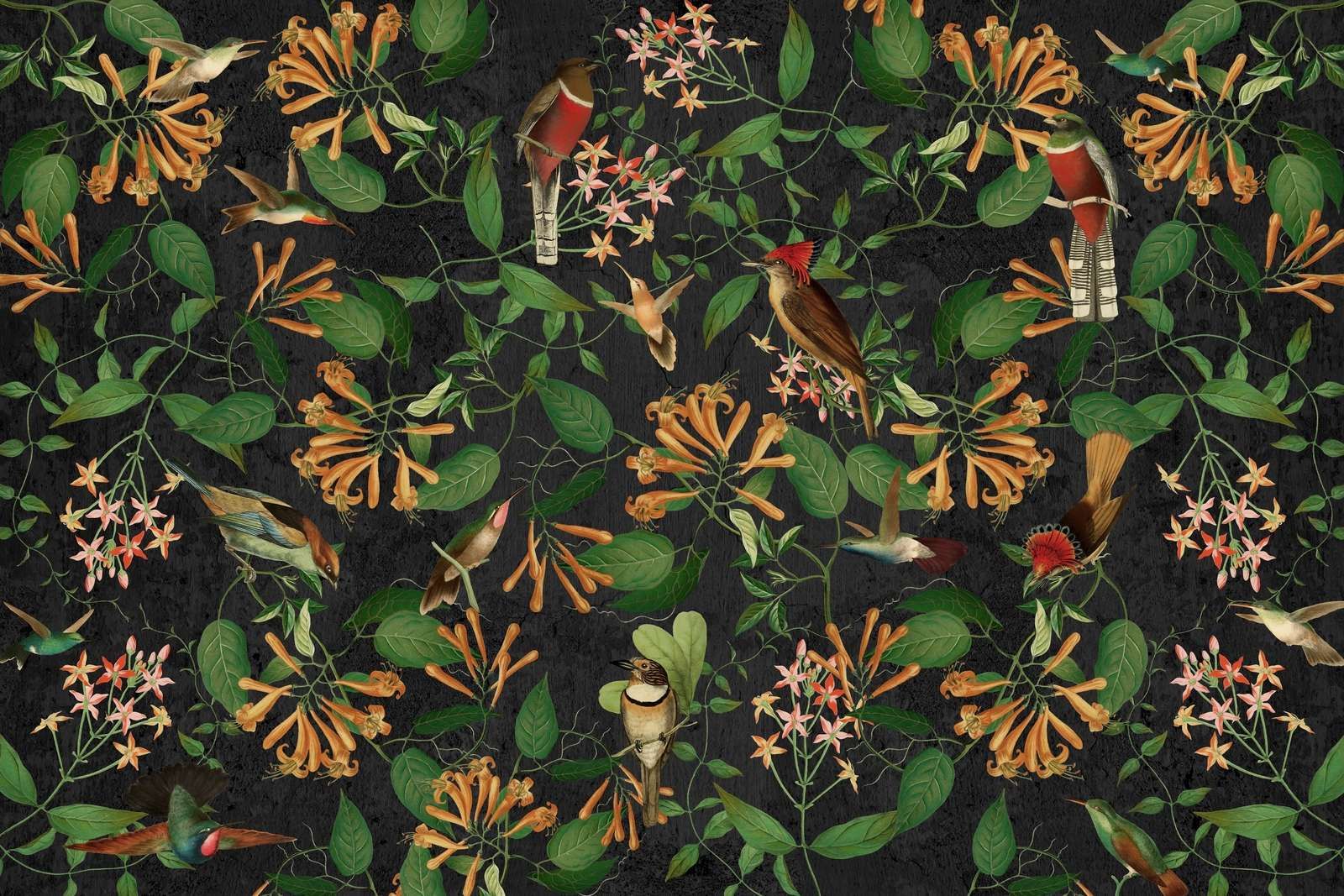 Midnatts hage melodi