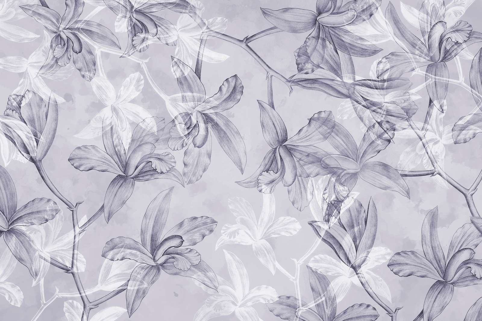 Orkidé Drømmelandskab Lilla