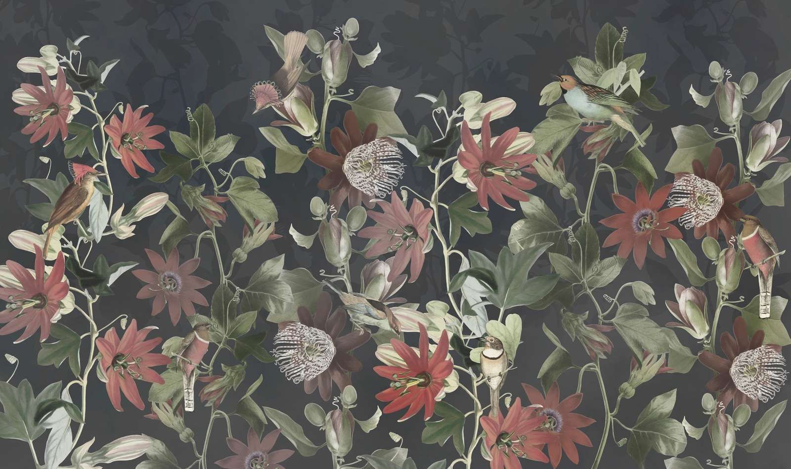 Syv fugler i fortryllet løvverk - skumringsserenade