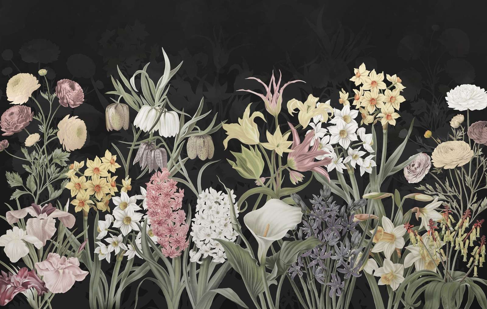 Vårblomster - Midnatt Blomstring