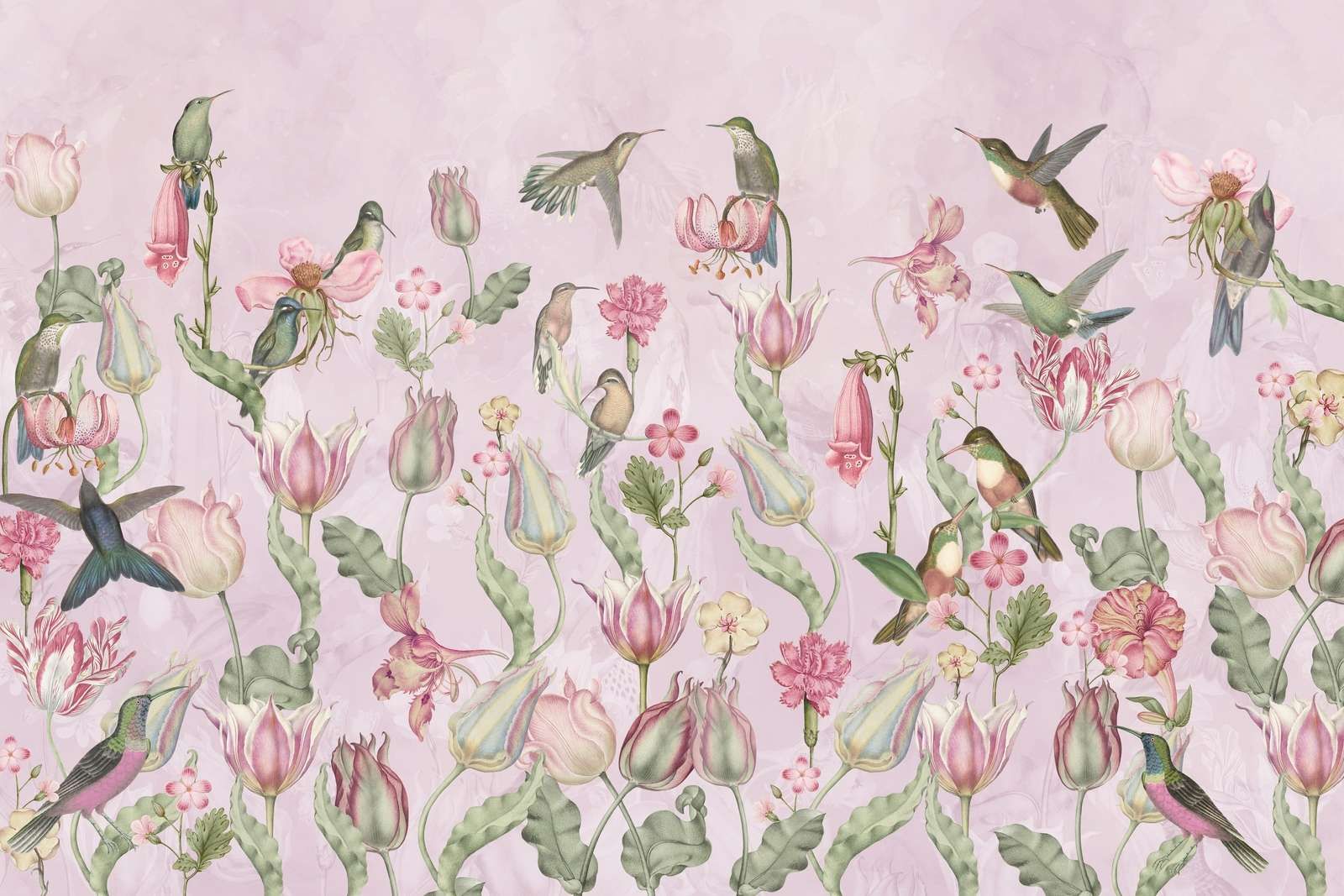 Vår Kolibri Symfoni - Blomma Ros