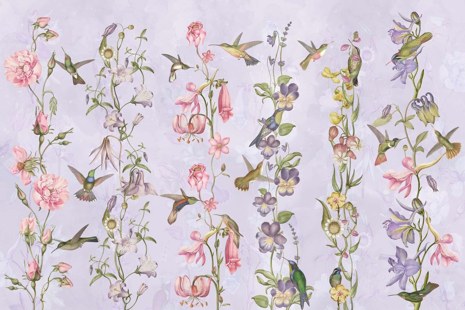 Vädd och trädgårdsblommor Viol