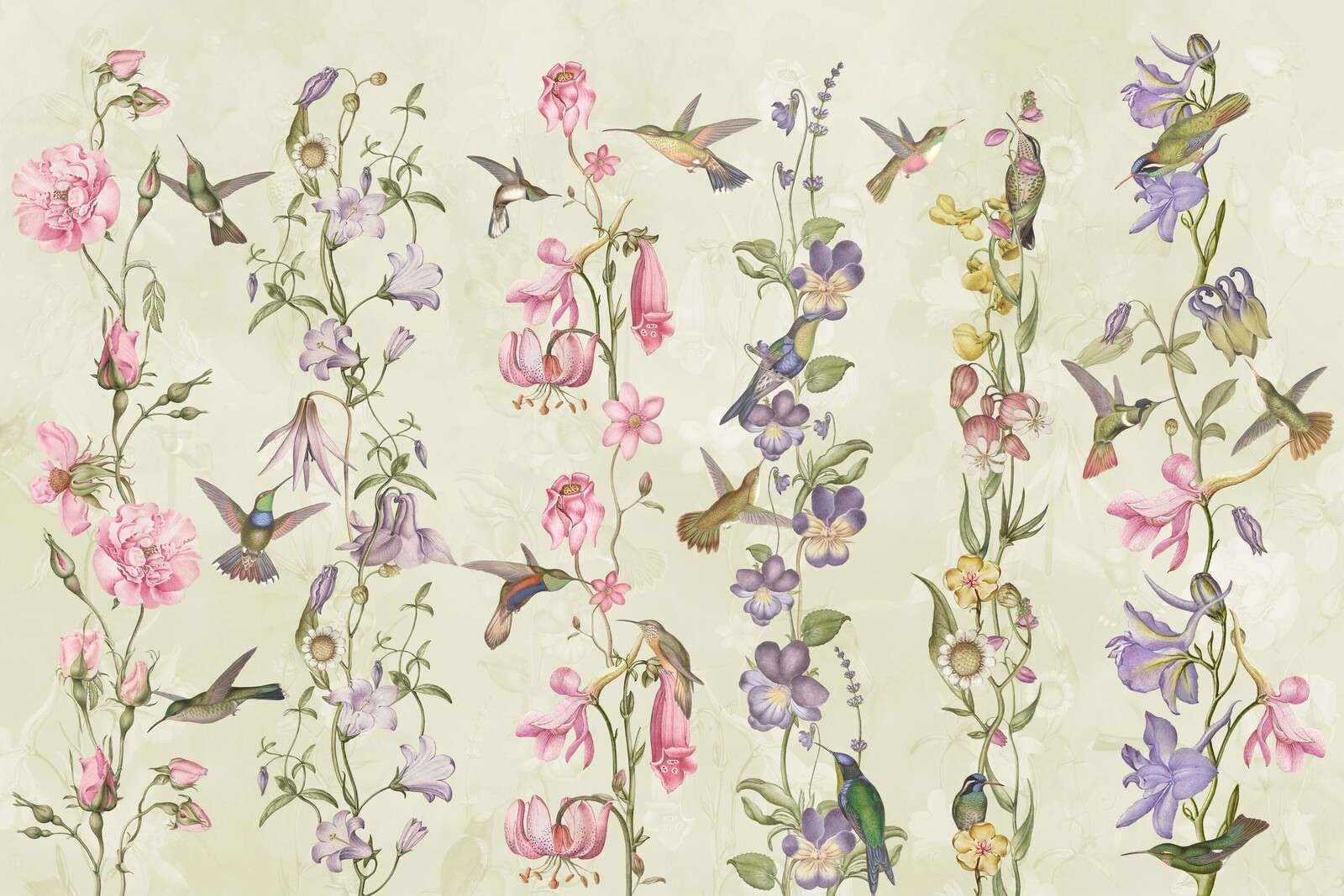 Eng- og hageblomster gule