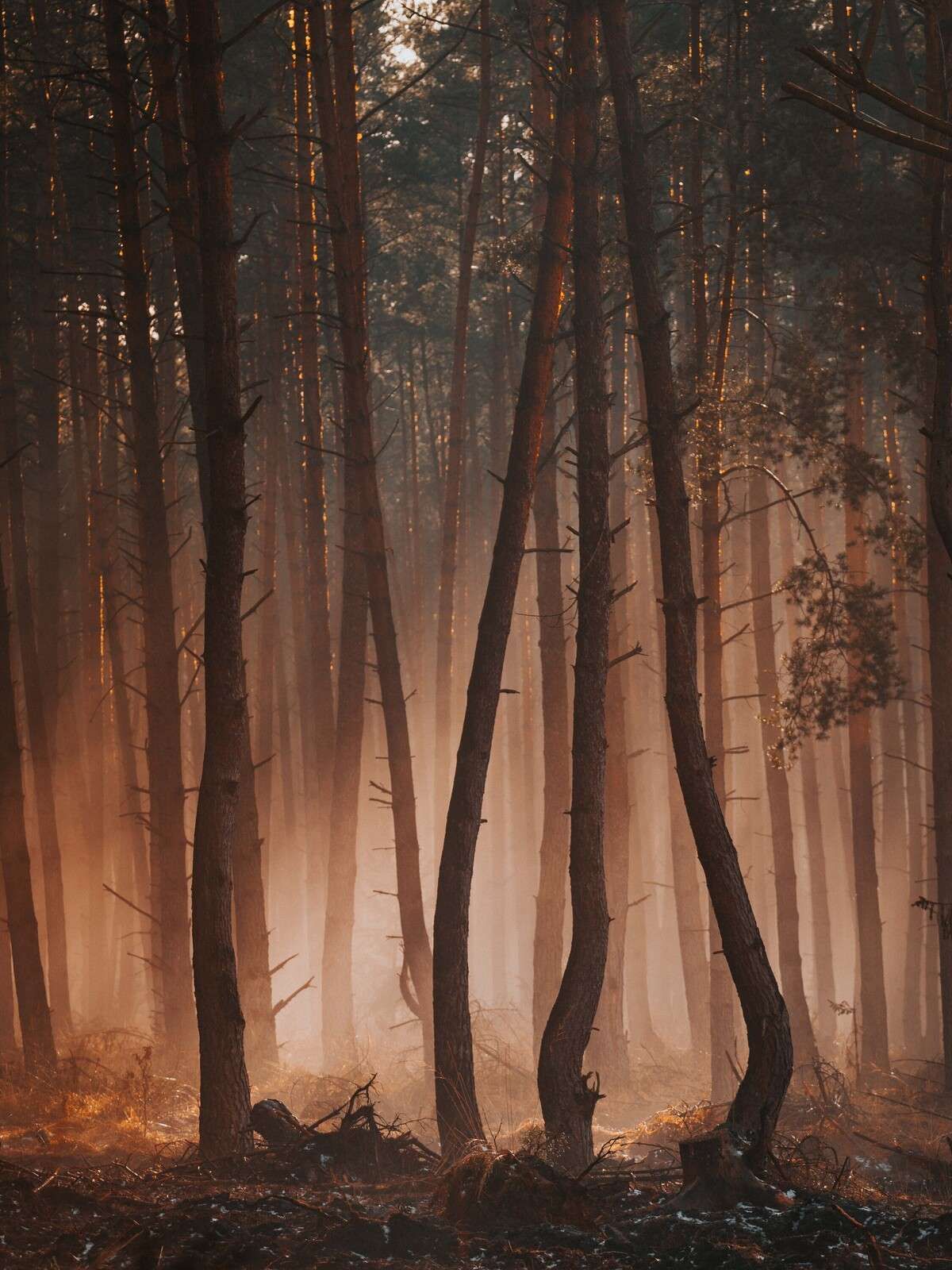 Overgang mellem årstiderne