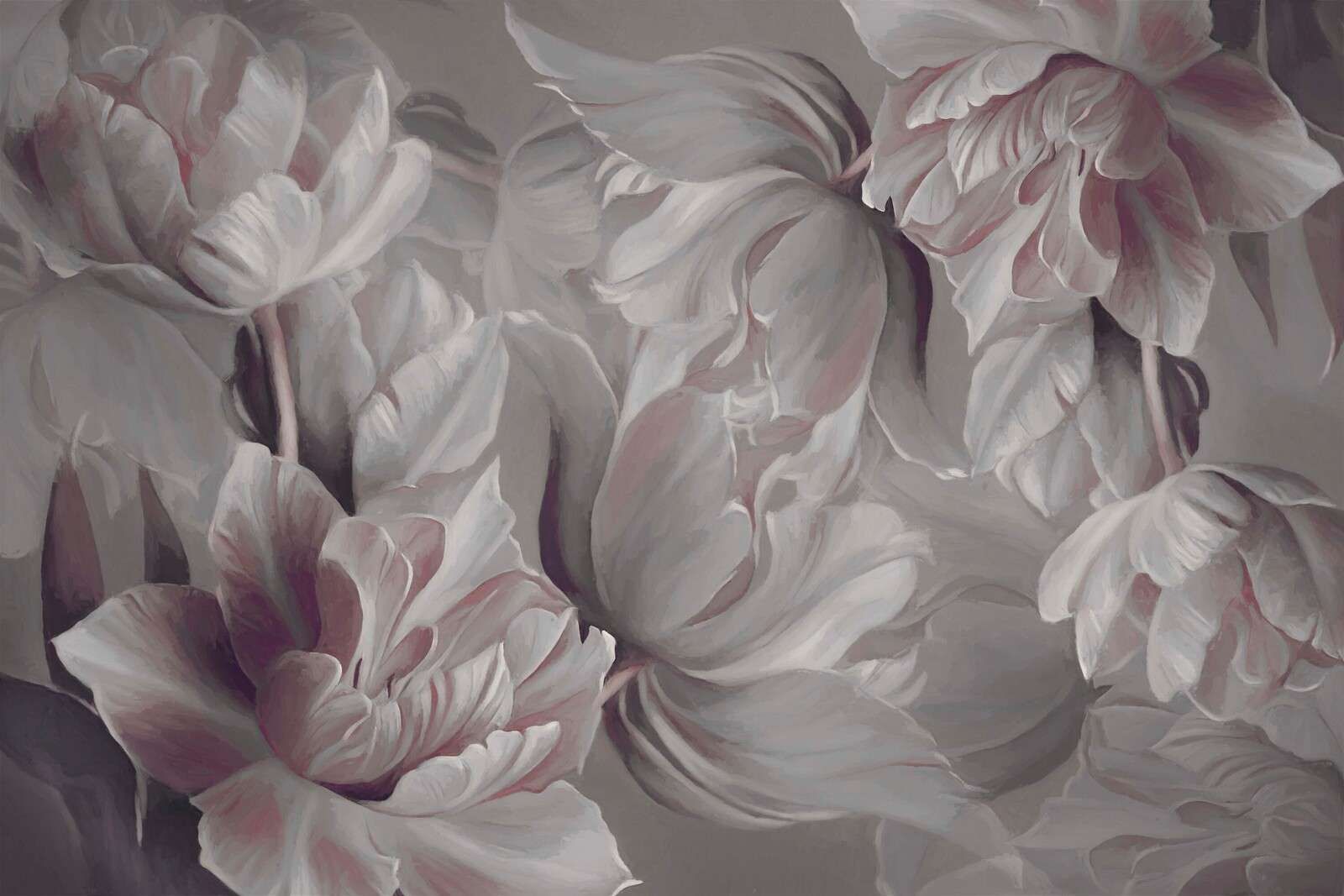 Store tulipaner grå