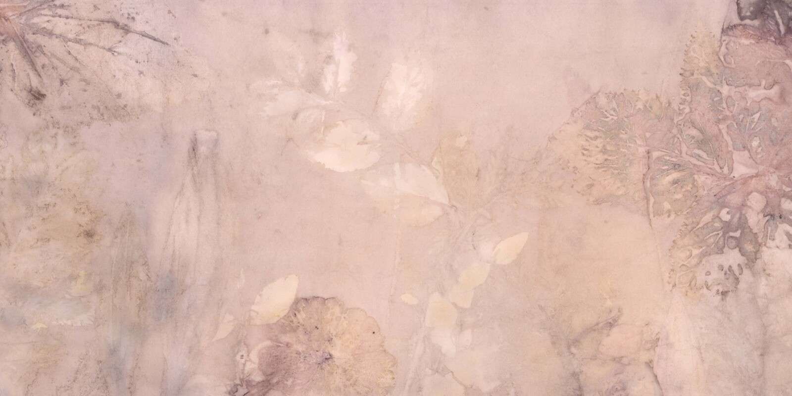 Veegbree og vill geranium - mauve