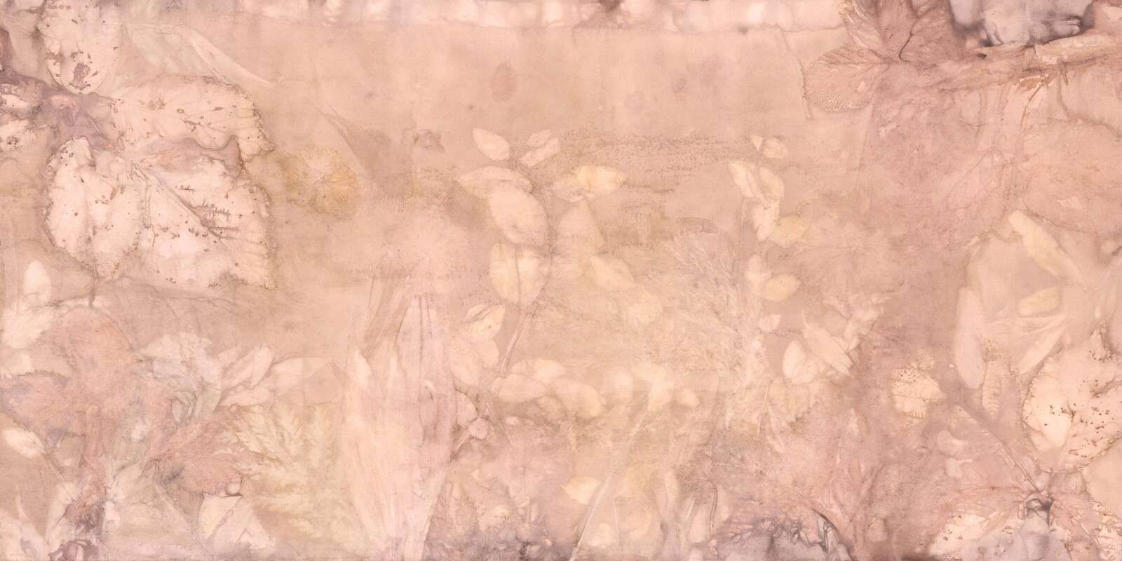 Wilde brombær og vejbred - drømmeverden i rosa