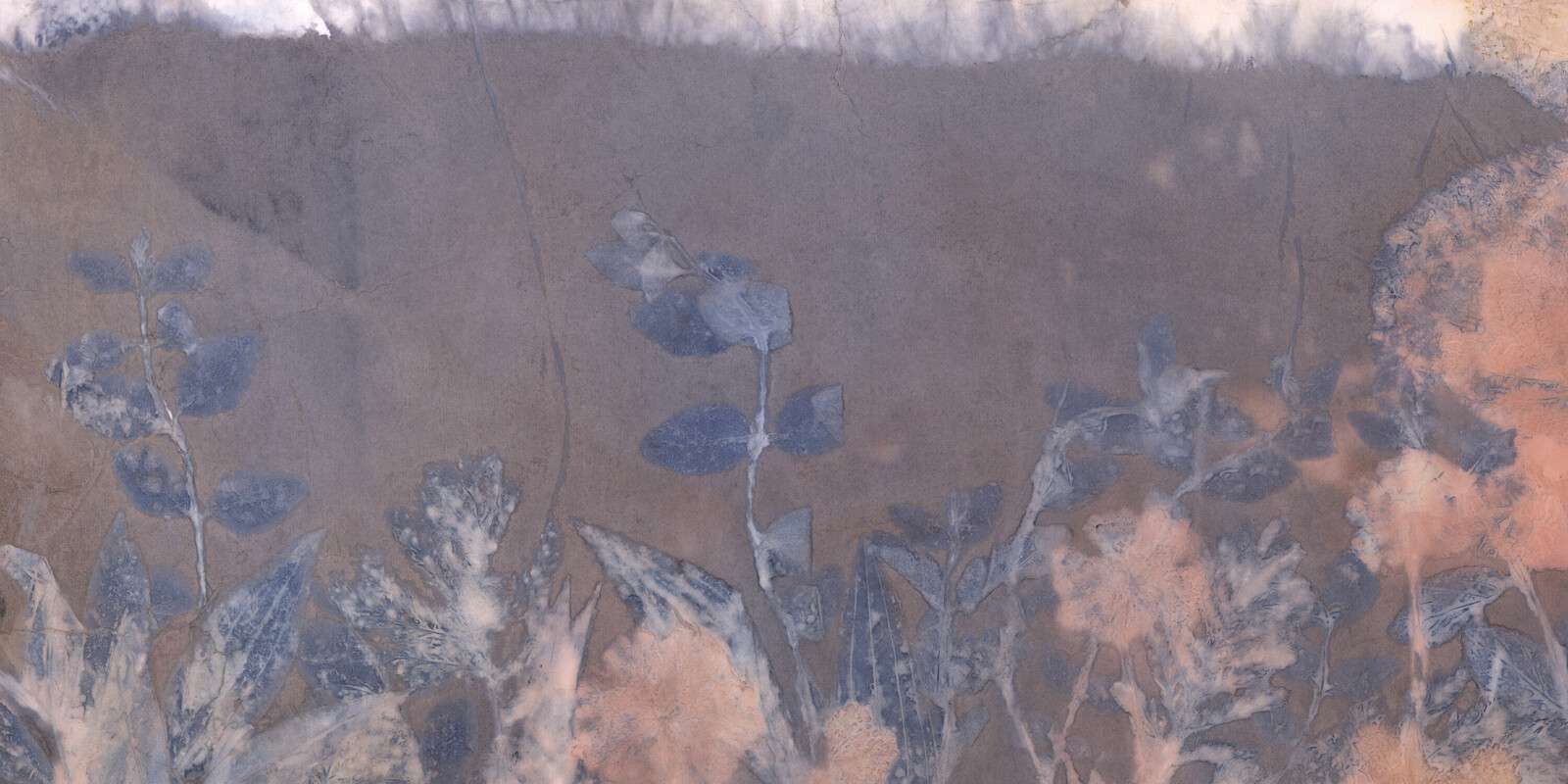 Wilde geranium og snebær - blå