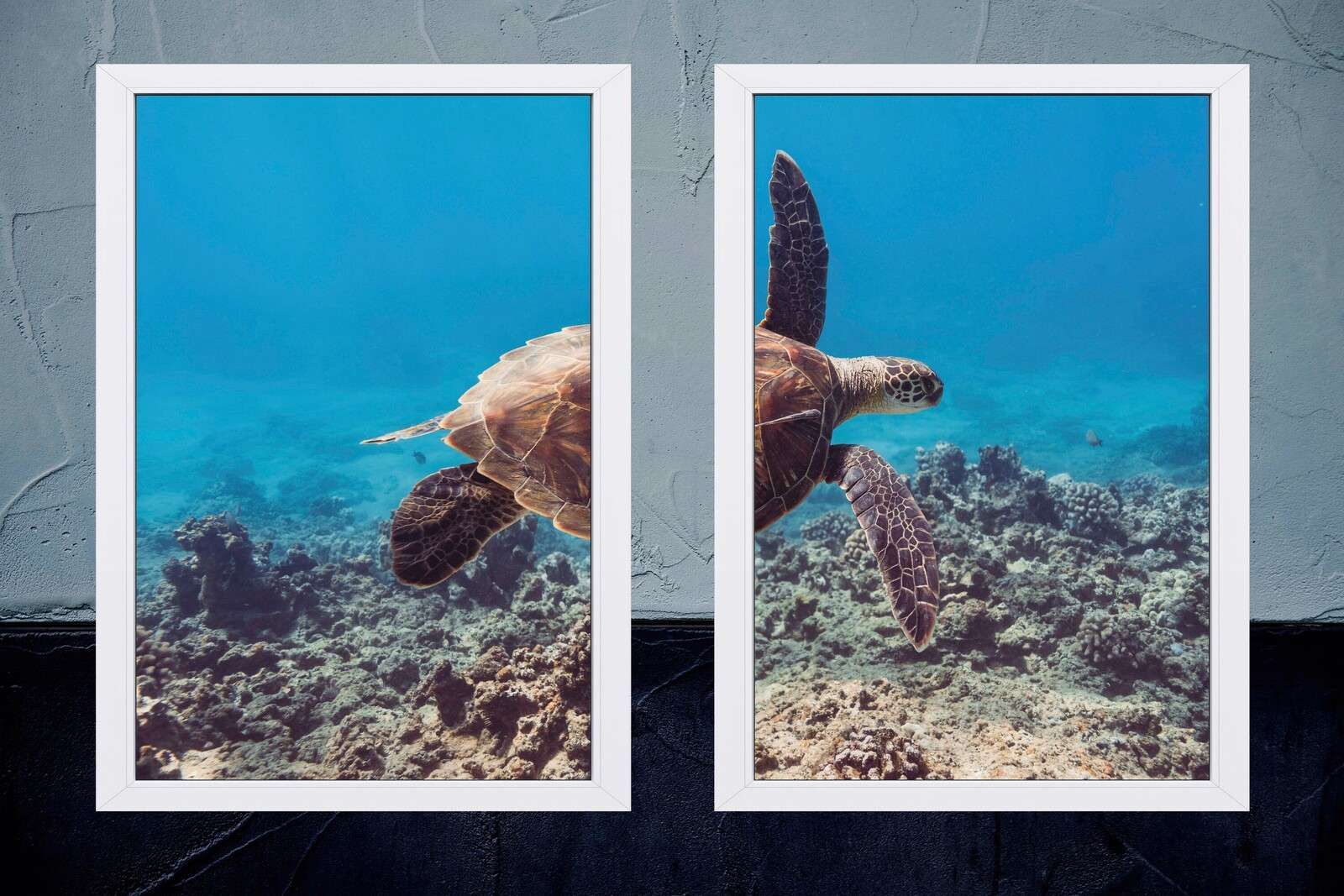 Søskildpadde over koralrev