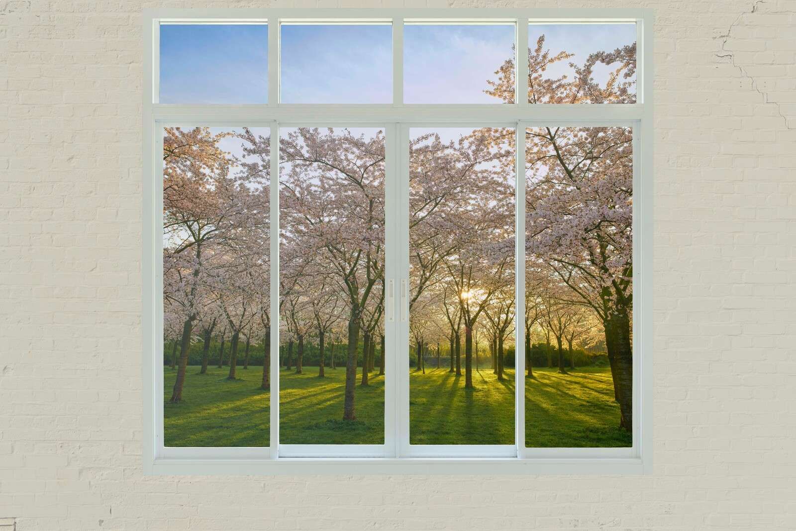 Bloesempark i vårsol