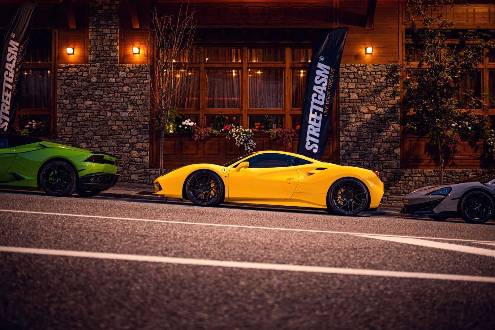 Eksklusive biler ved trehytte