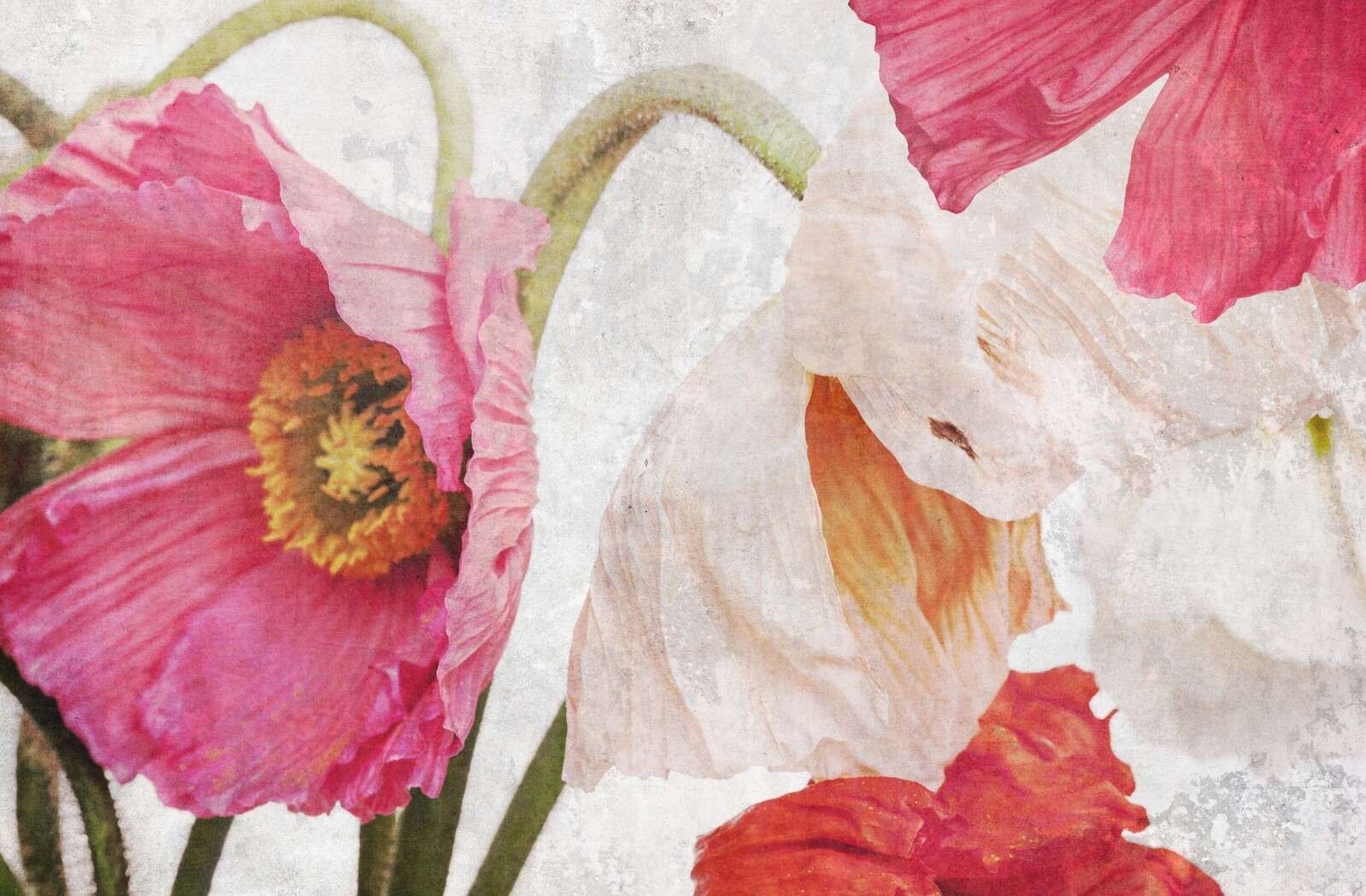 Dansende valmuer i sommerluft